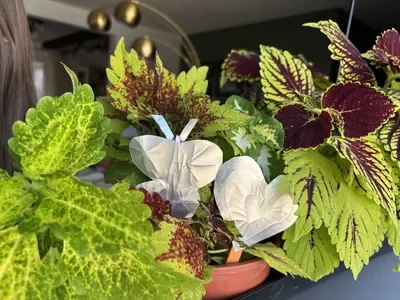 A butterfly and heart shaped garden stake in colorful coleus plants