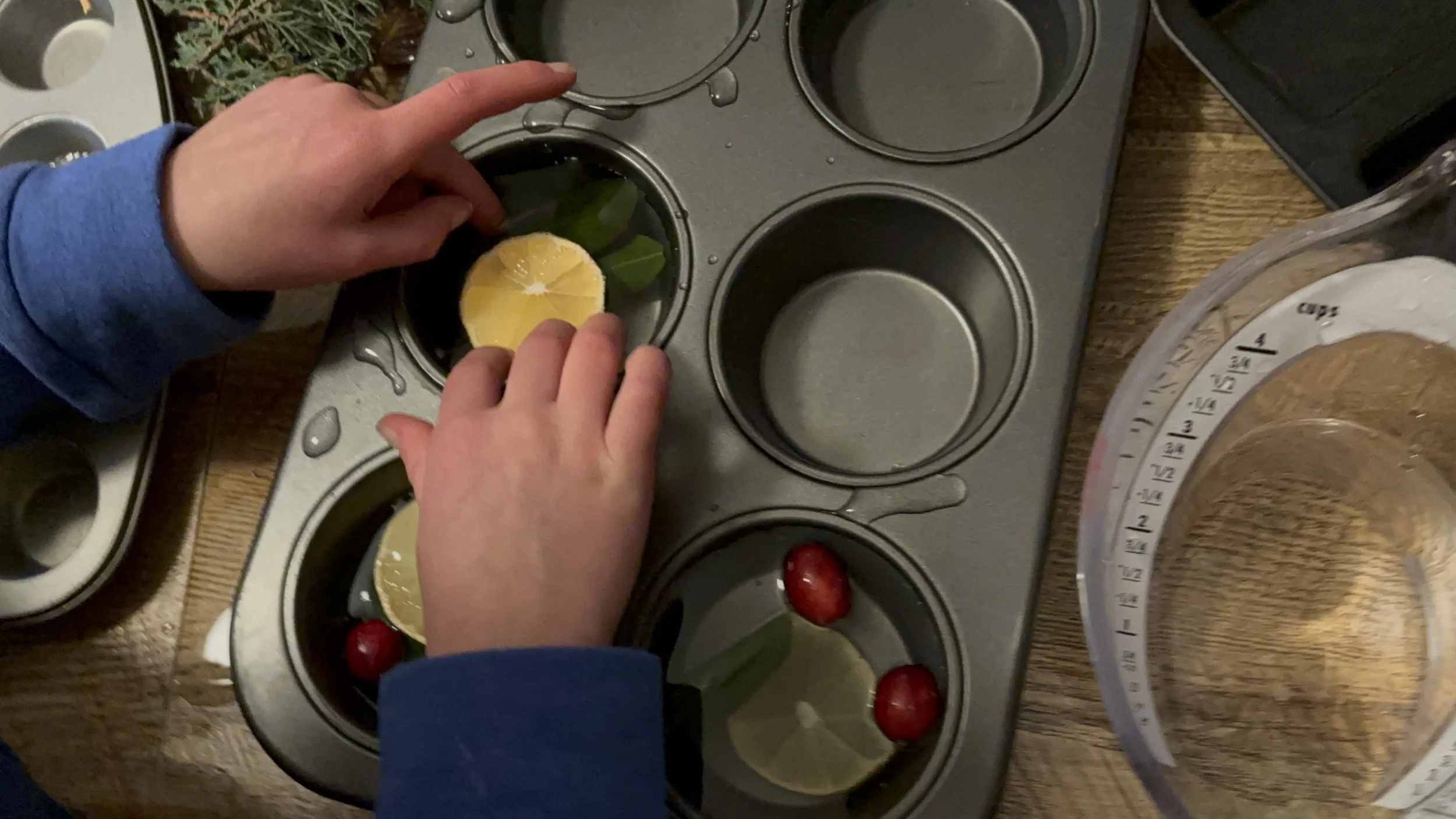 a child placing orange slices, leaves, and cranberries into a muffin tin filled with water.
