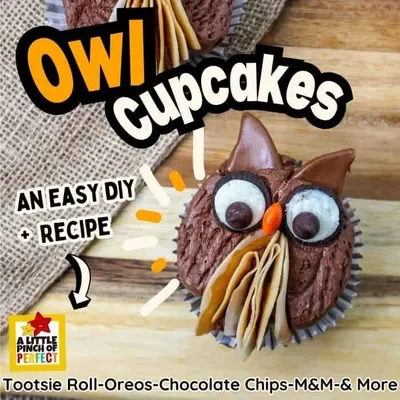 Cupcakes decorated with frosting, mini oreo eyes, tootsie roll ears, and an M&M beak with the text Owl Cupcakes, an easy DIY Recipe. A little pinch of perfect, and a list of ingredients