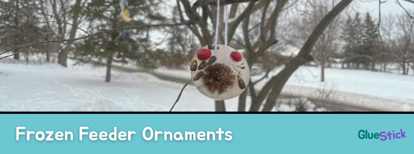 cranverries, sunflower seends, and an echinacea seed pod frozen in ice hang from a tree on a suburban street