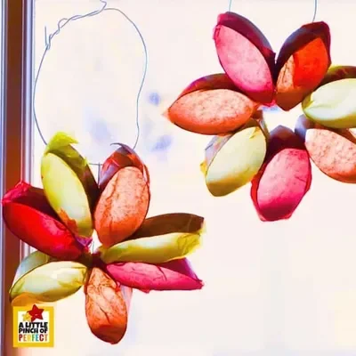 Flowers made from cardboard tube slices and tissue paper hanging in a window