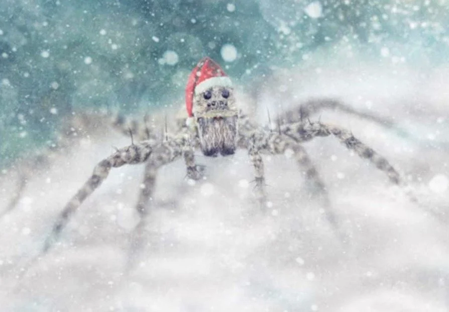 Legend of the Christmas Spider
