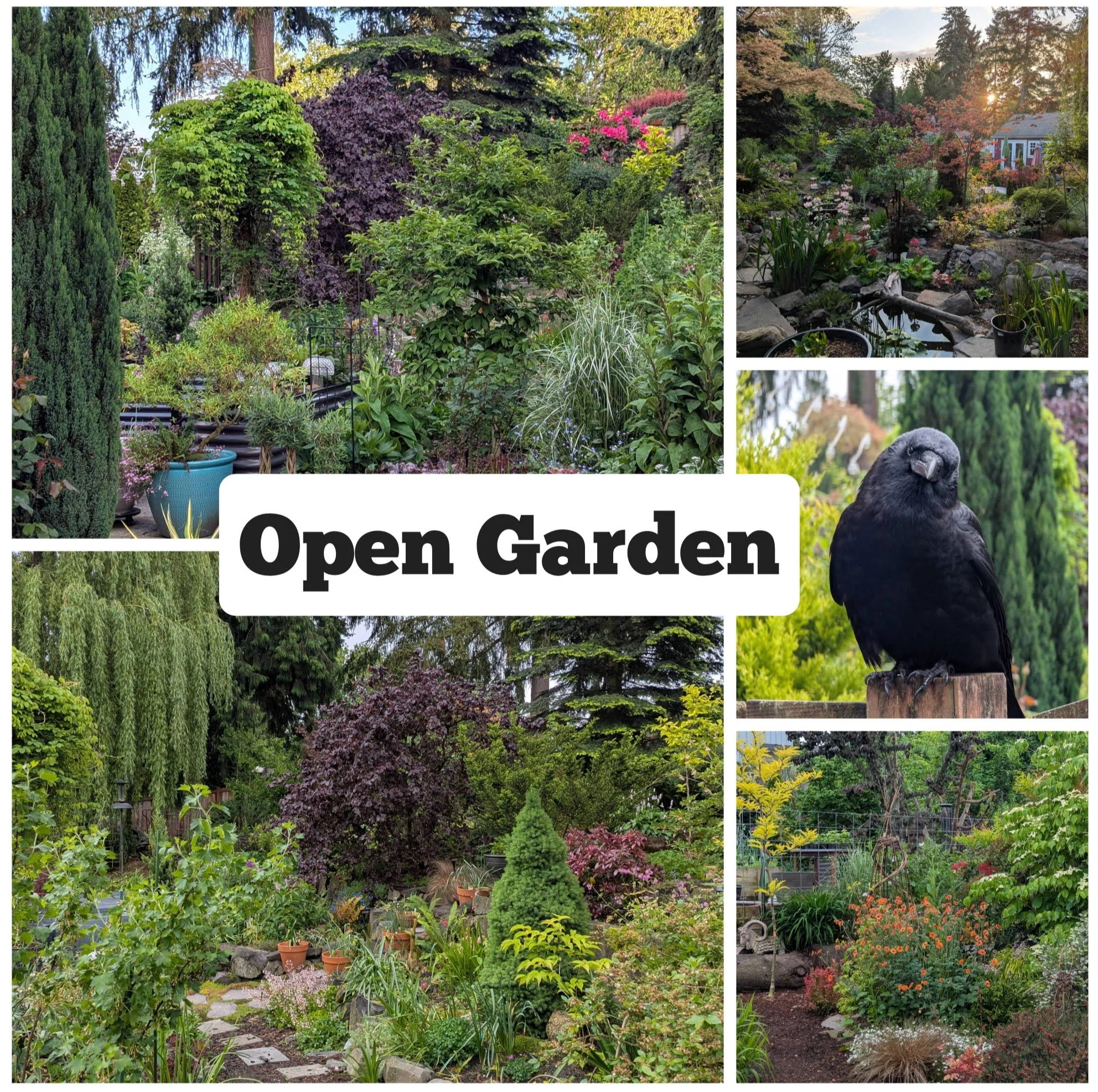 Open Garden and Tool Sharpening