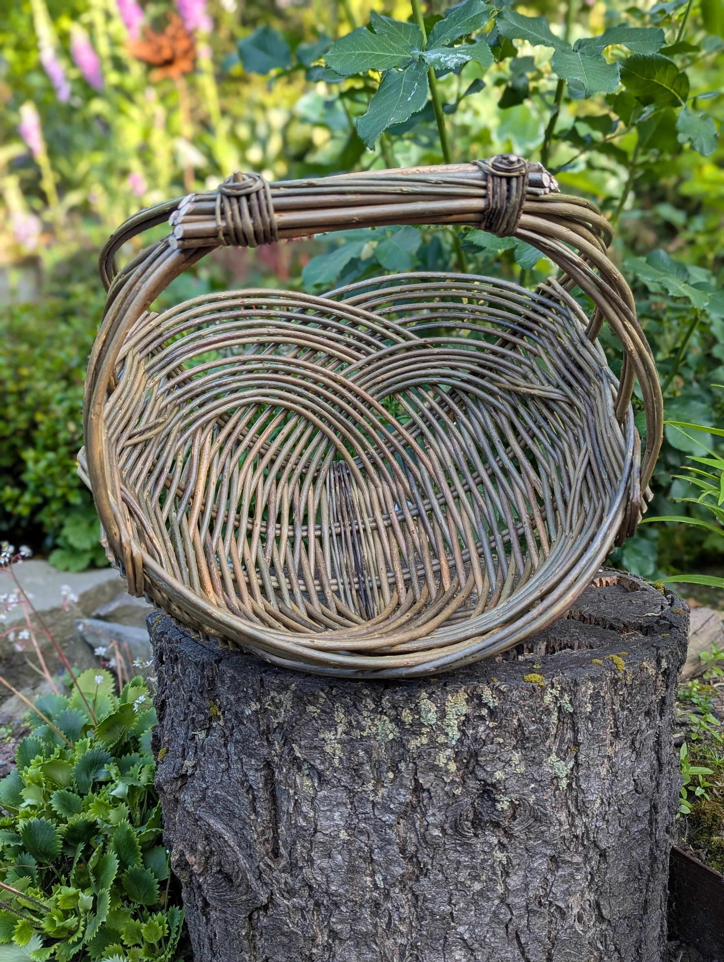 SOLD OUT - Willow Zarzo Basket Semi-Private Workshops