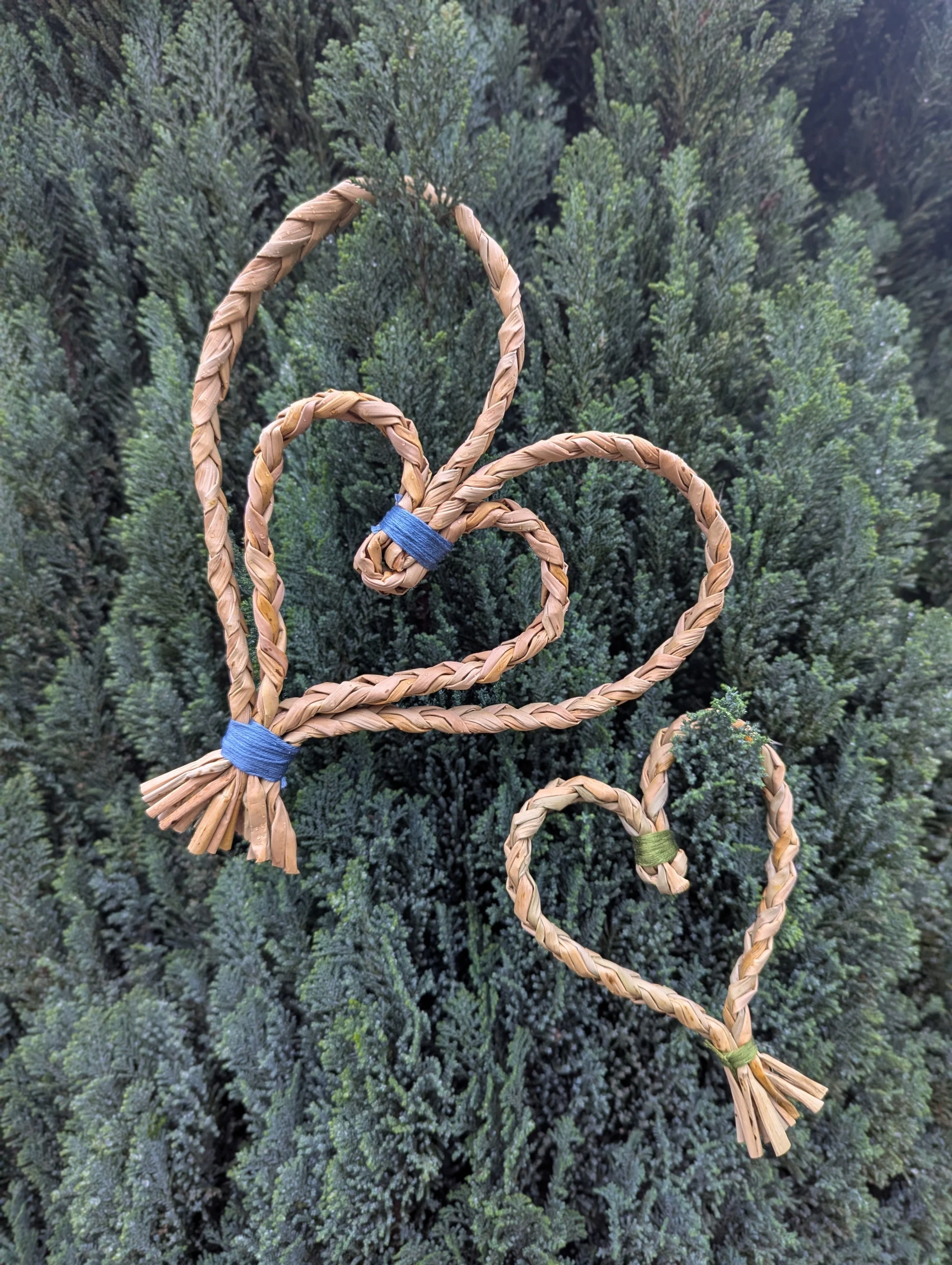 Celebrate LOVE with BULRUSH