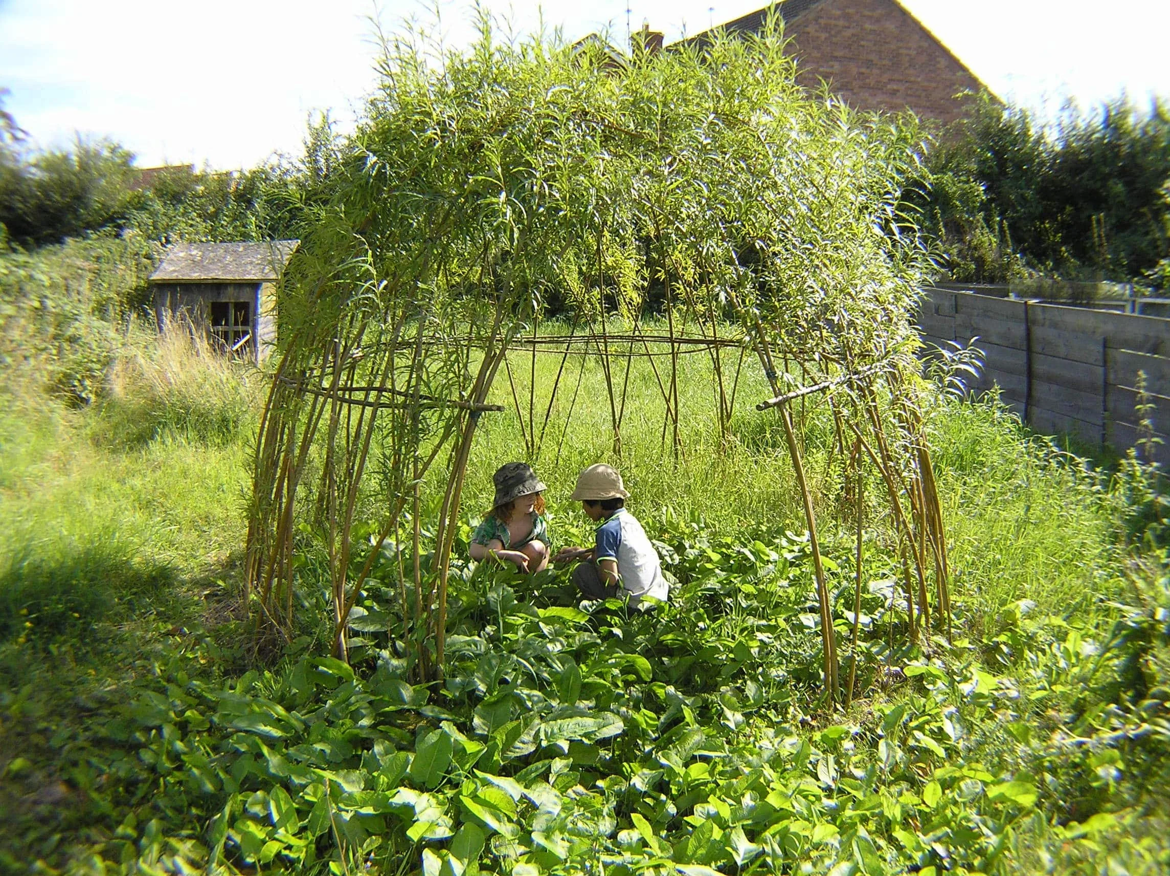 Weaving with Living Willow 