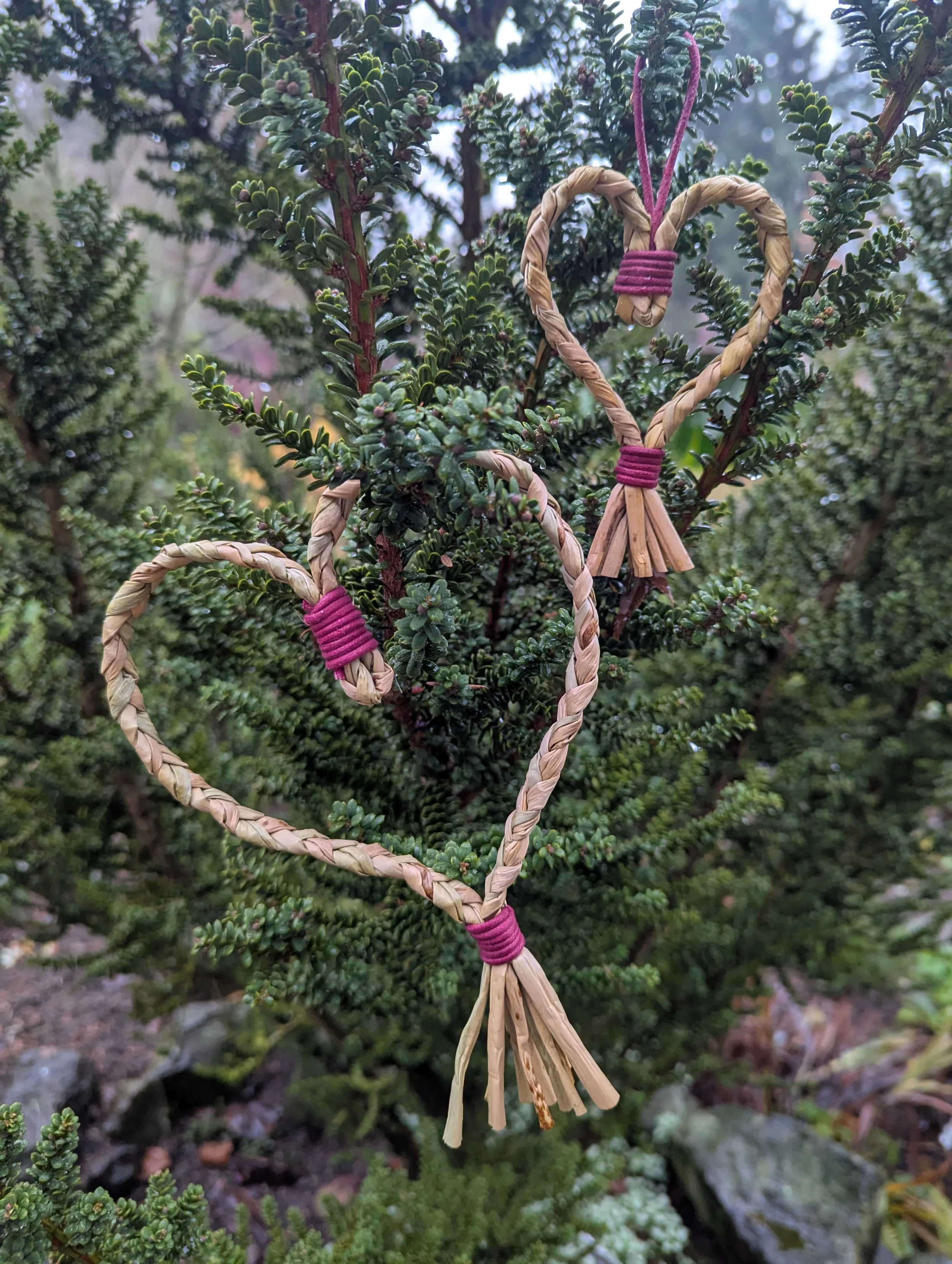 SOLD OUT - Celebrate LOVE with BULRUSH