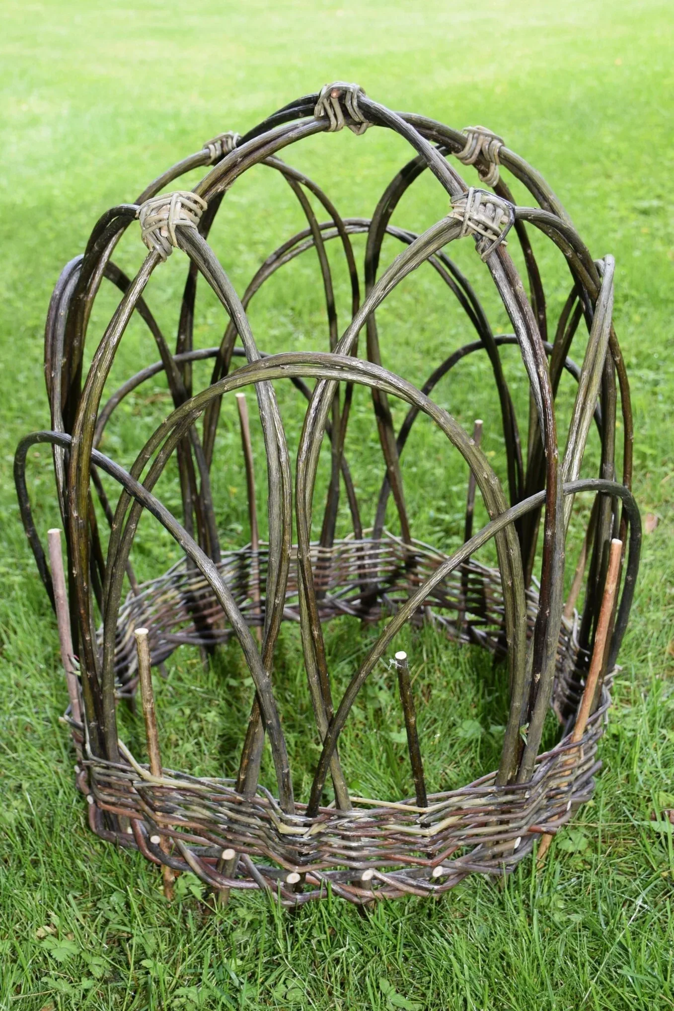 SOLD OUT - Willow Plant Support @ Bellevue Botanical Garden