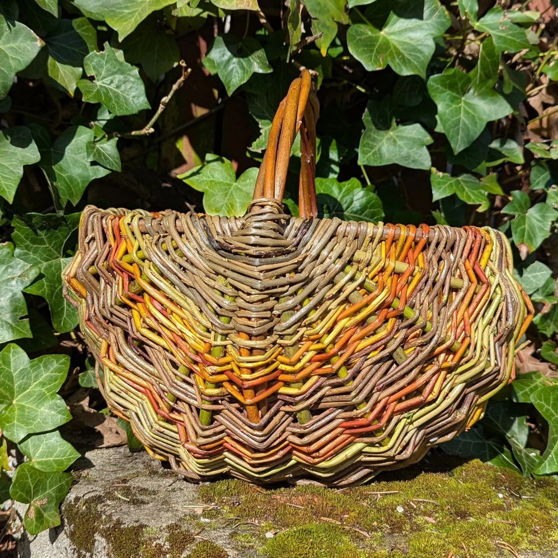 SOLD OUT - Willow Ribbed Basket Small Group Workshop