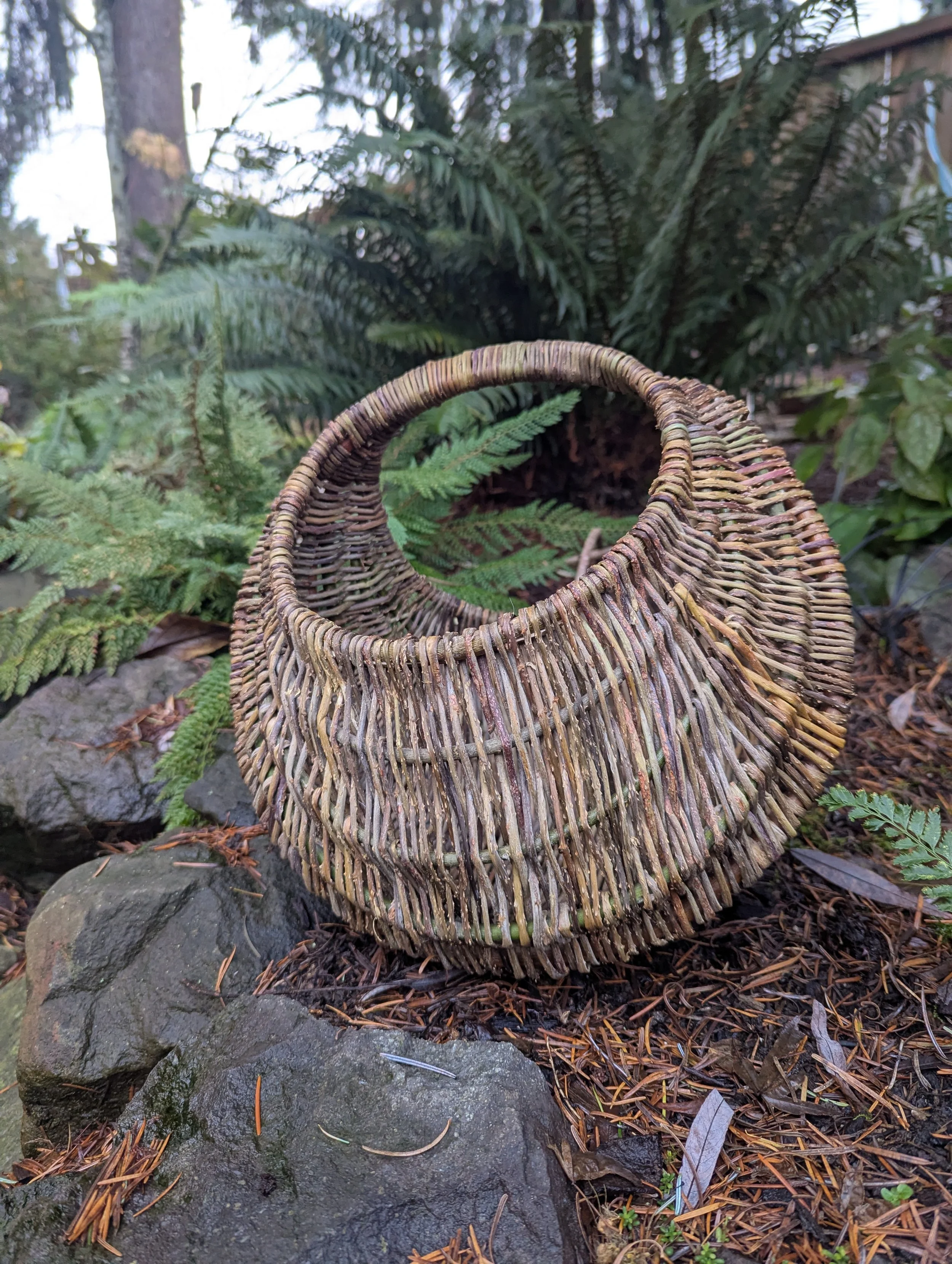 SOLD OUT - Harvest &amp; Weave: Native Trailing Blackberry Basket - Two Part Workshop