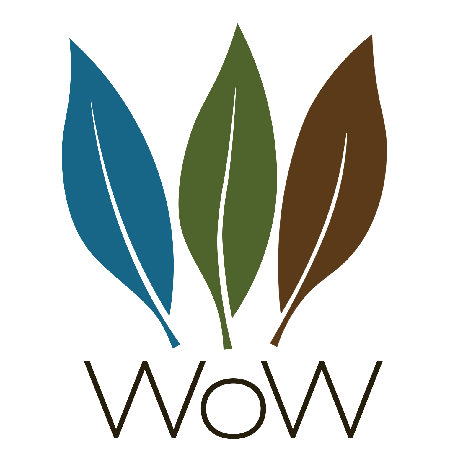 Wonders of Willow (W.O.W.) @ Sky Nursery