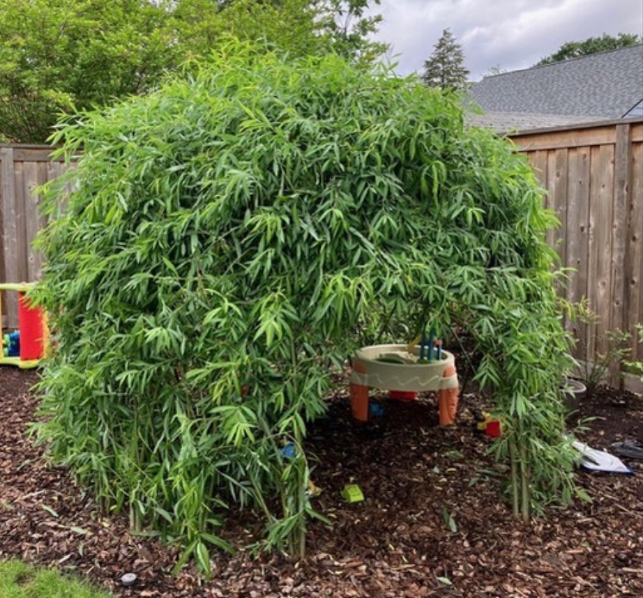 Screenshot 2025-12-30 094115.png