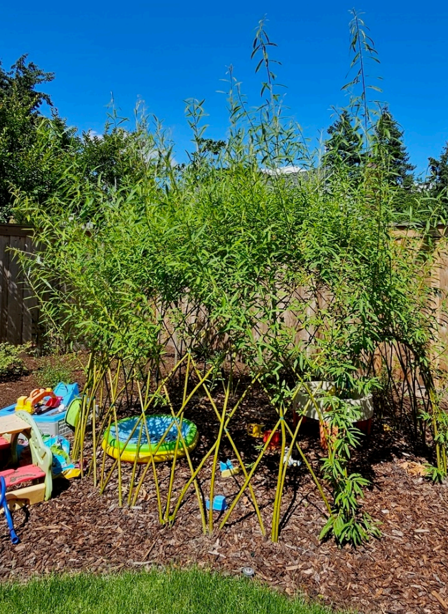 Screenshot 2025-12-30 094206.png