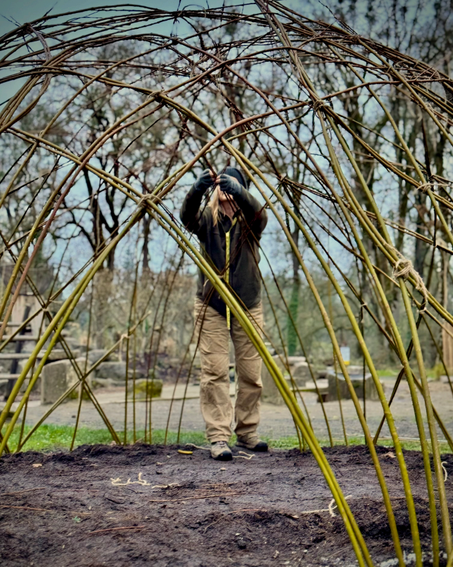 Building With Living Willow - Grow Your Dreams