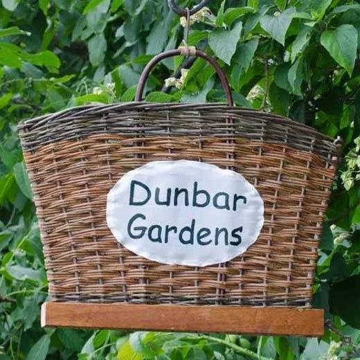 Farm to Basket: Growing willows in the Skagit Valley