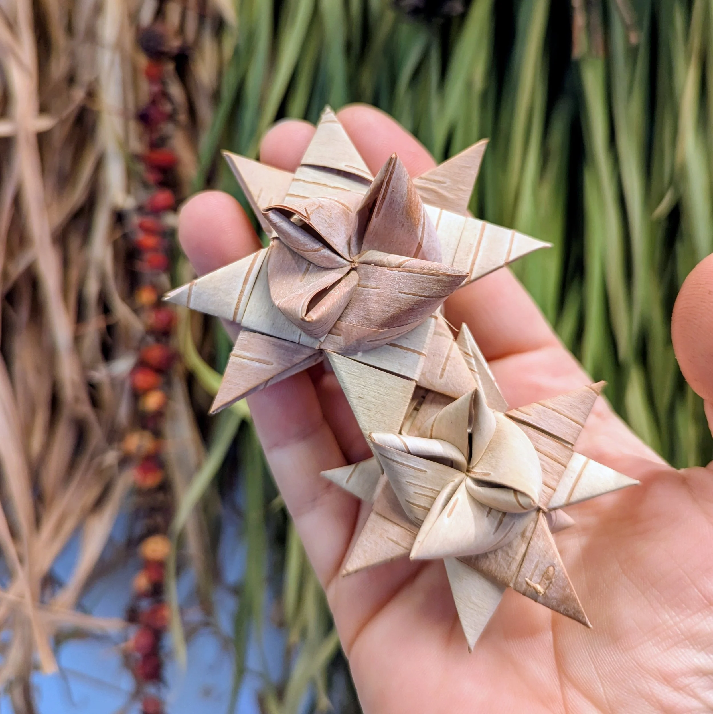 Birch Bark Stars (Limited Supply!)