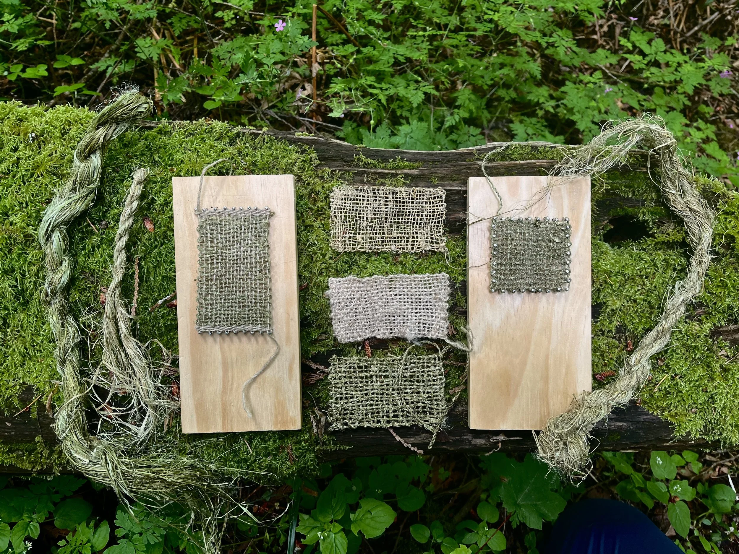 Field to Fabric: A Nettle Textile Workshop - Aug 27th from 6pm to 8:30pm