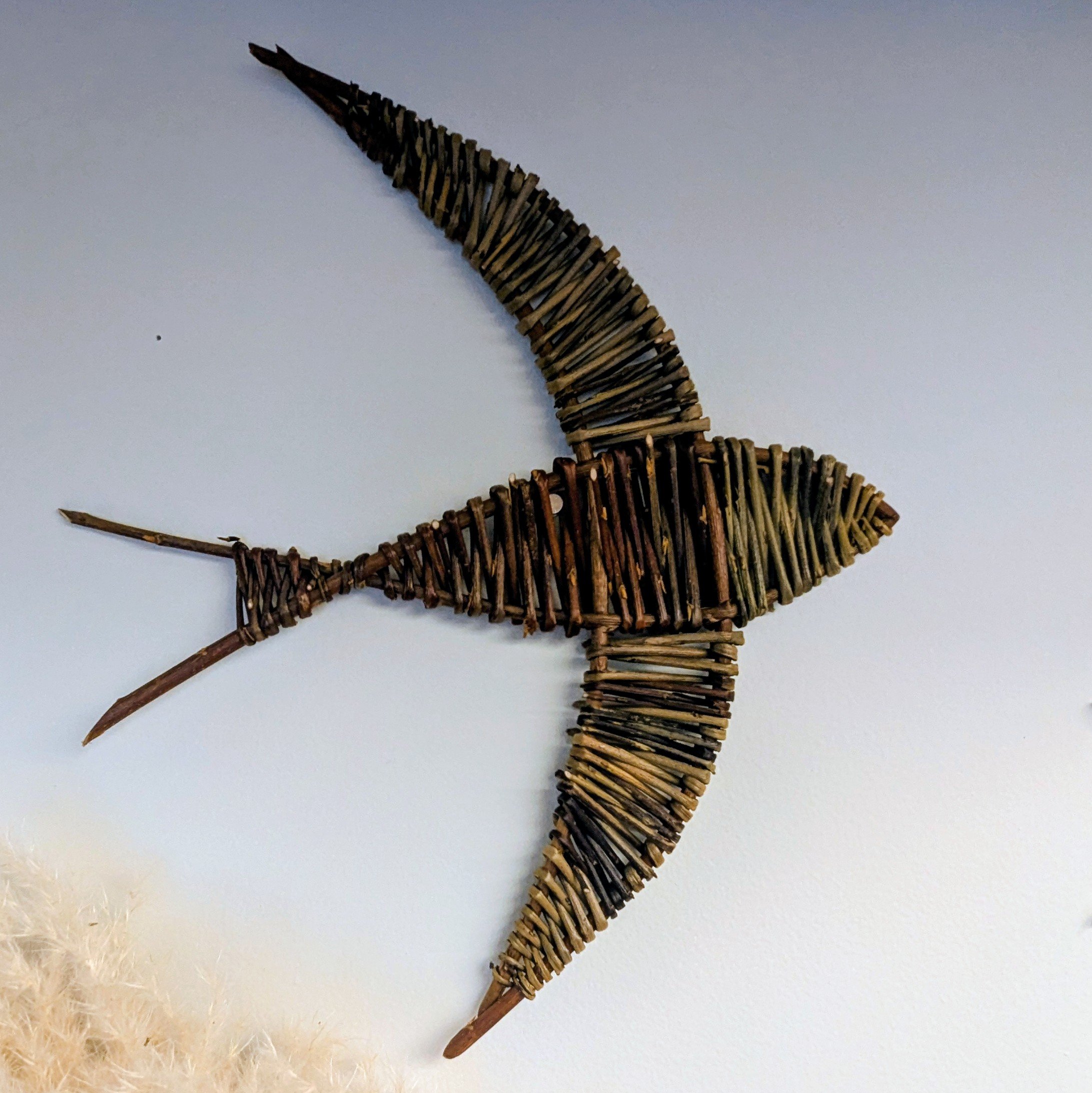 Willow Swallows - June 7th from 10-1pm