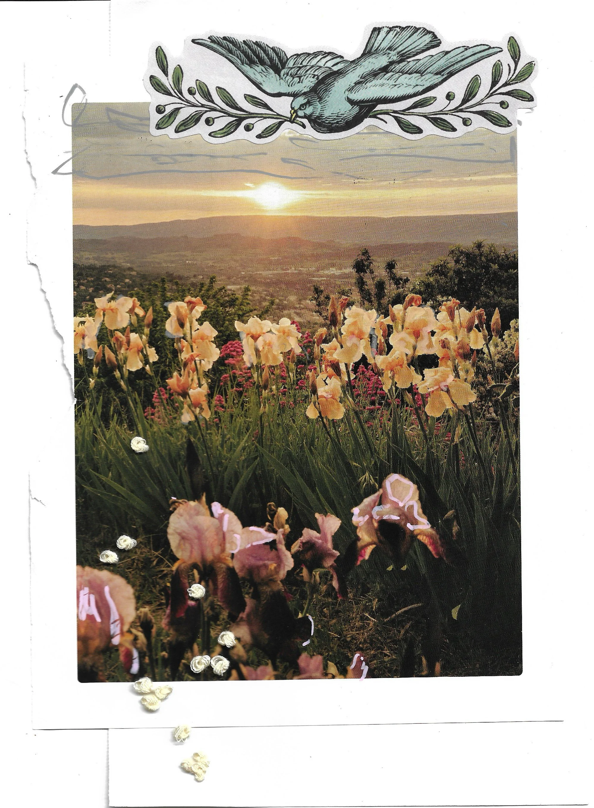 Image of irises in focus with a sunset and hils in the background. Embroidery at the bottom, and a sticker of a blue bird on top. 