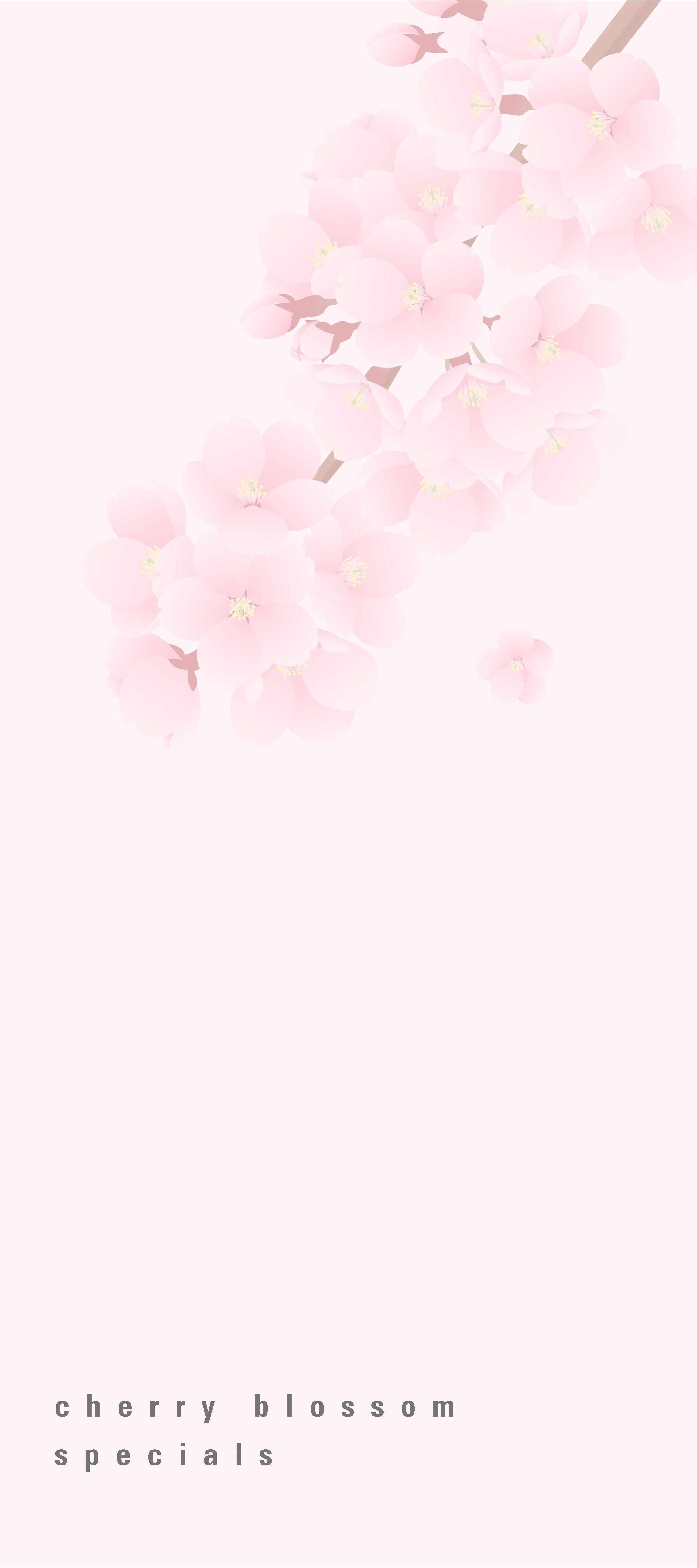 Morimoto Cherry Blossom Specials →