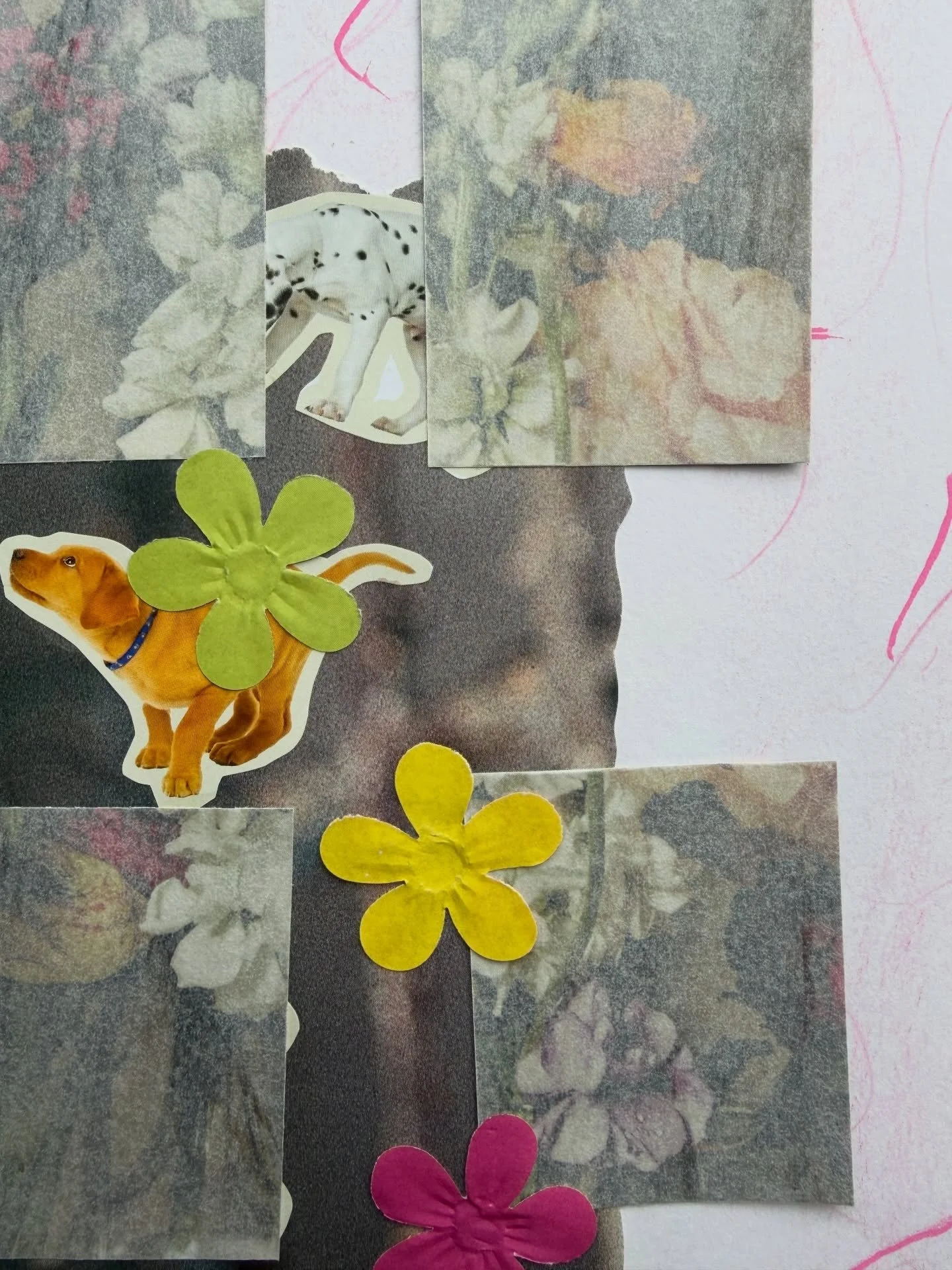 who DID let the dogs out? #collage