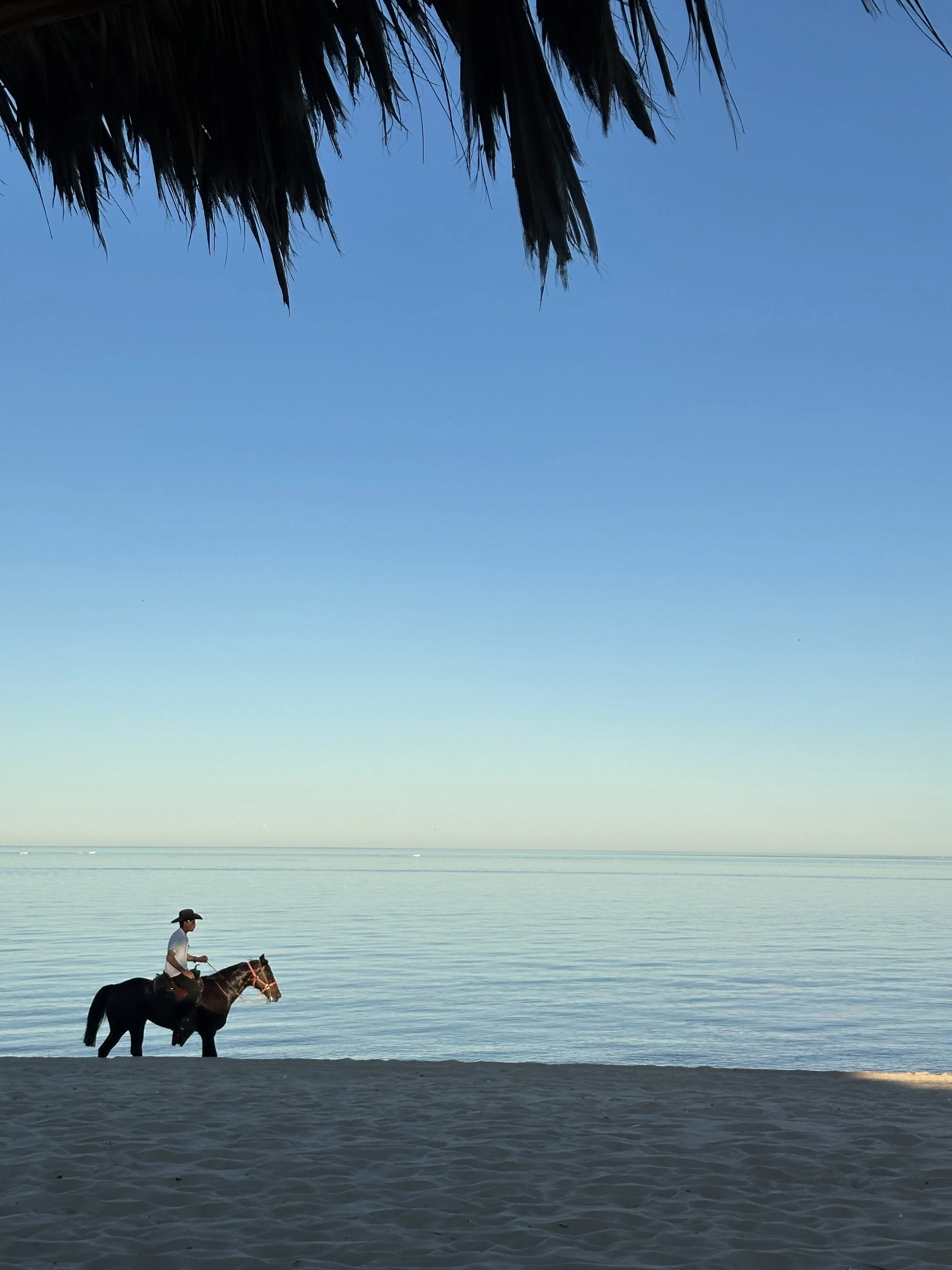 A peaceful horseback ride along the shoreline of the Sea of Cortez near San Felipe, where Baja’s desert coast meets calm waters and wide open skies.