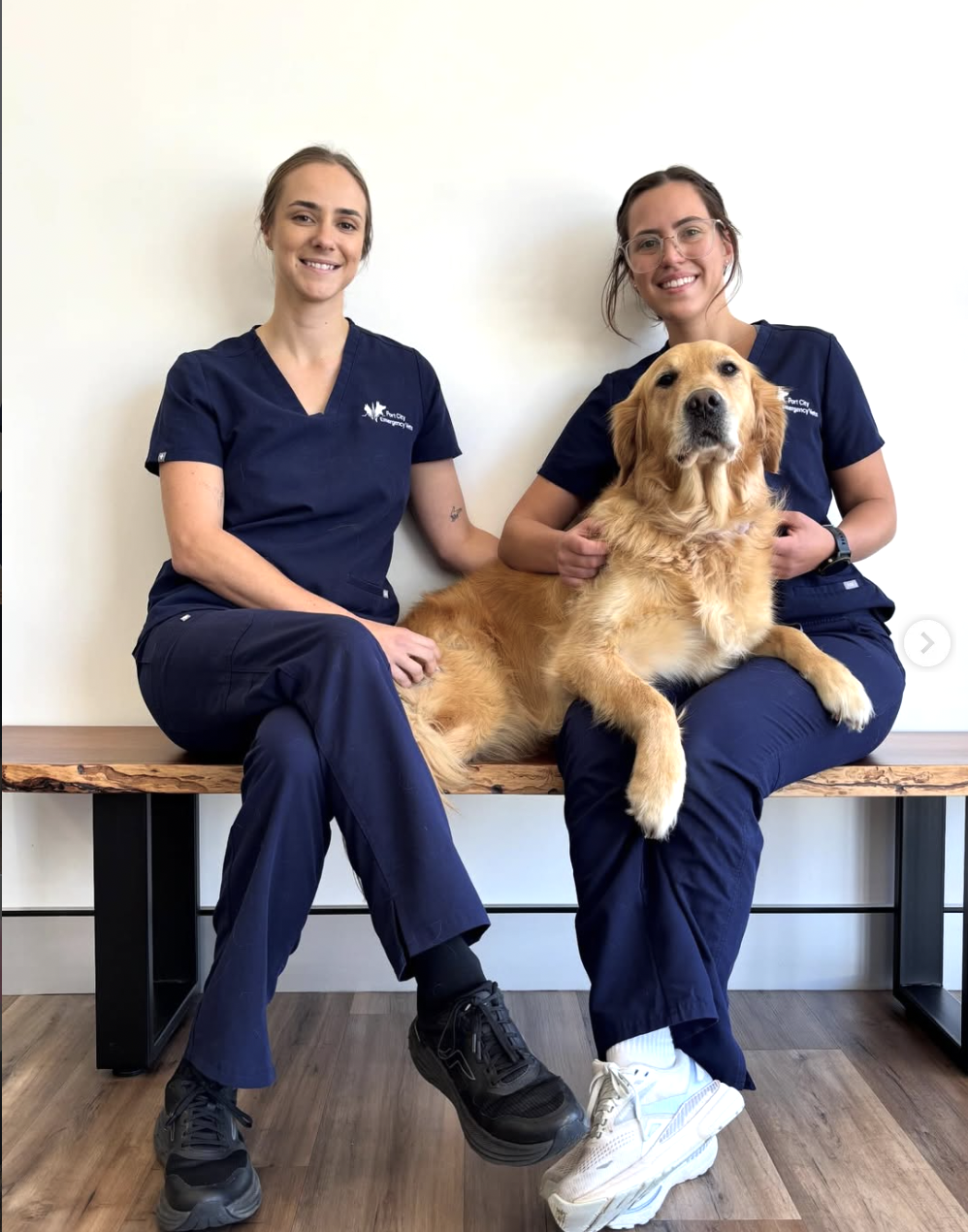 Emergency Vet Near Me in Perth: What to Expect at Port City