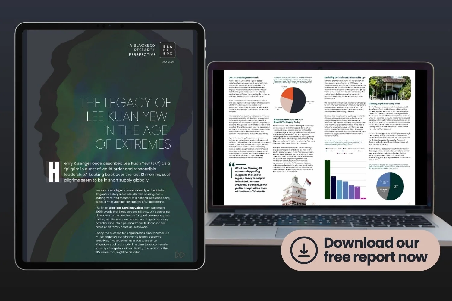 The Legacy of LKY in the Age of Extremes