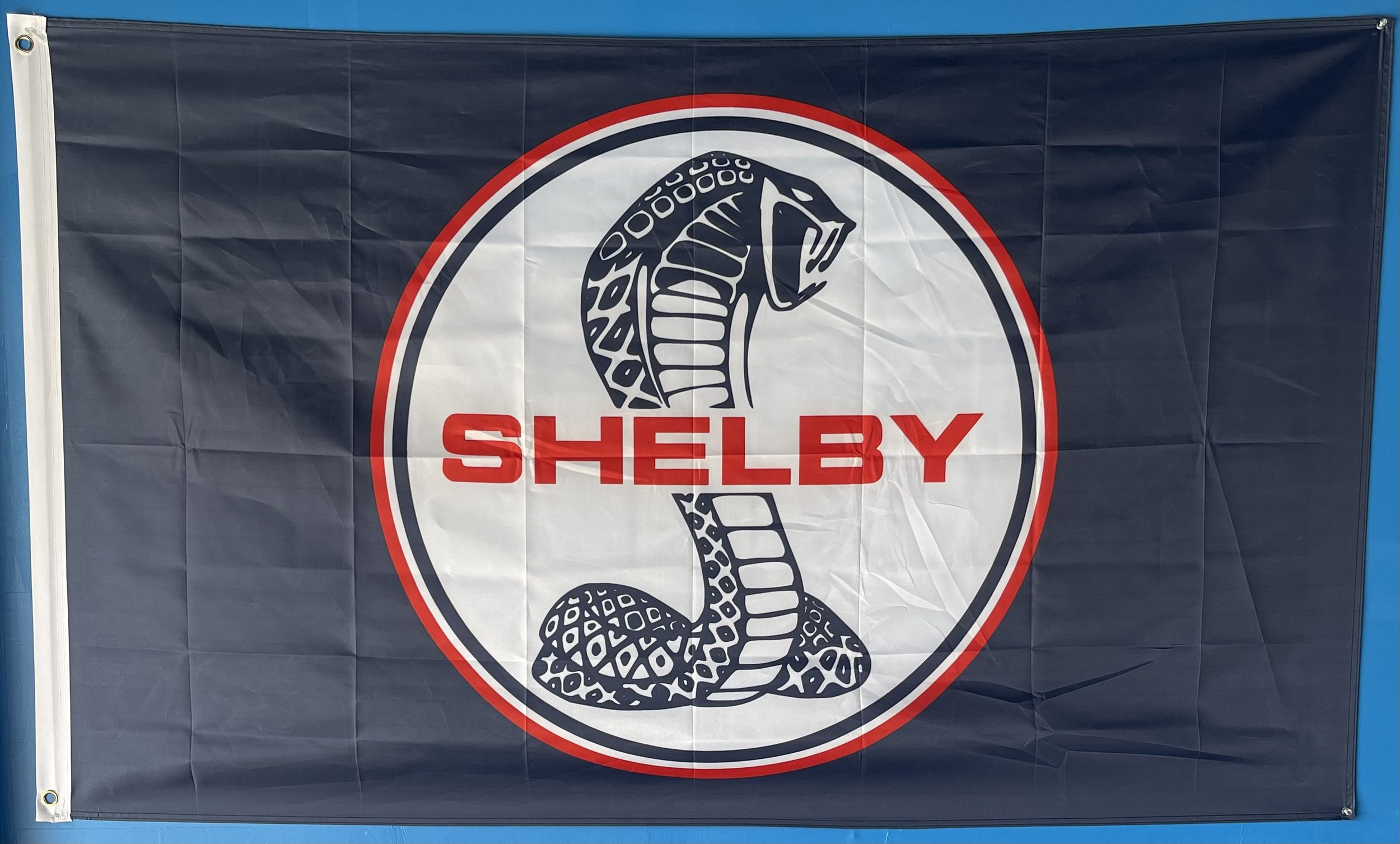 Blue Shelby 2.jpg