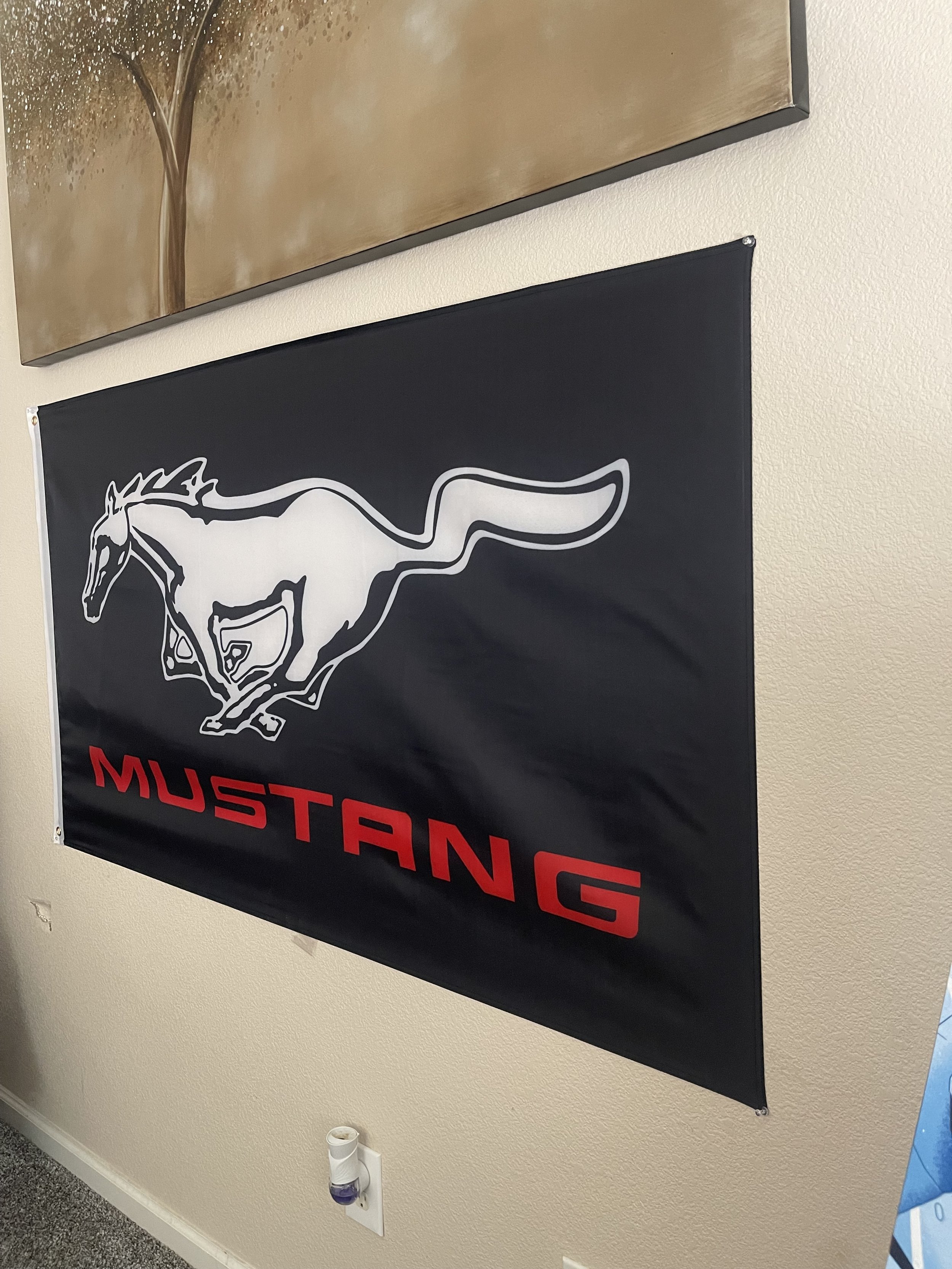 Mustang 2.jpg