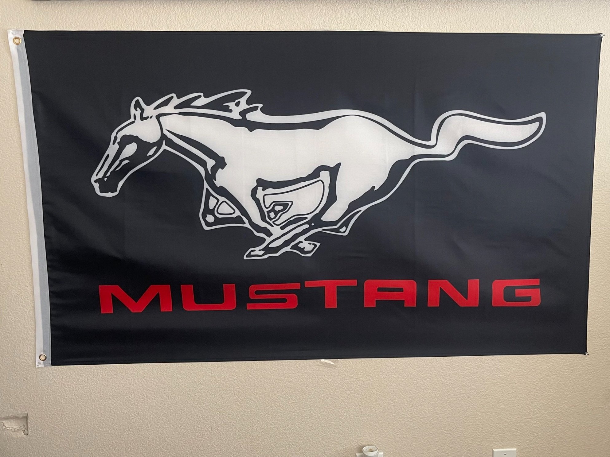 Mustang+3.jpg