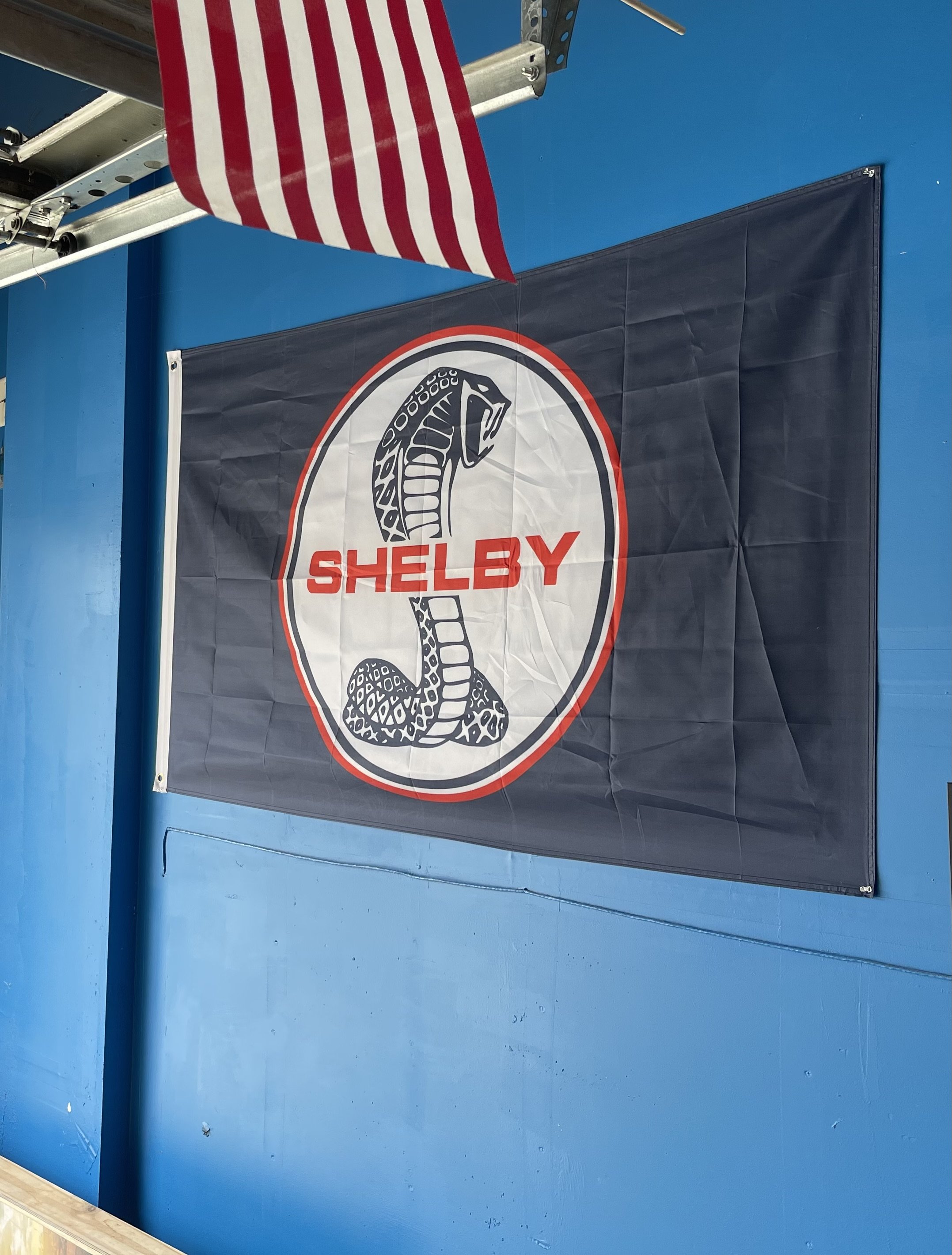Blue Shelby 3.jpg
