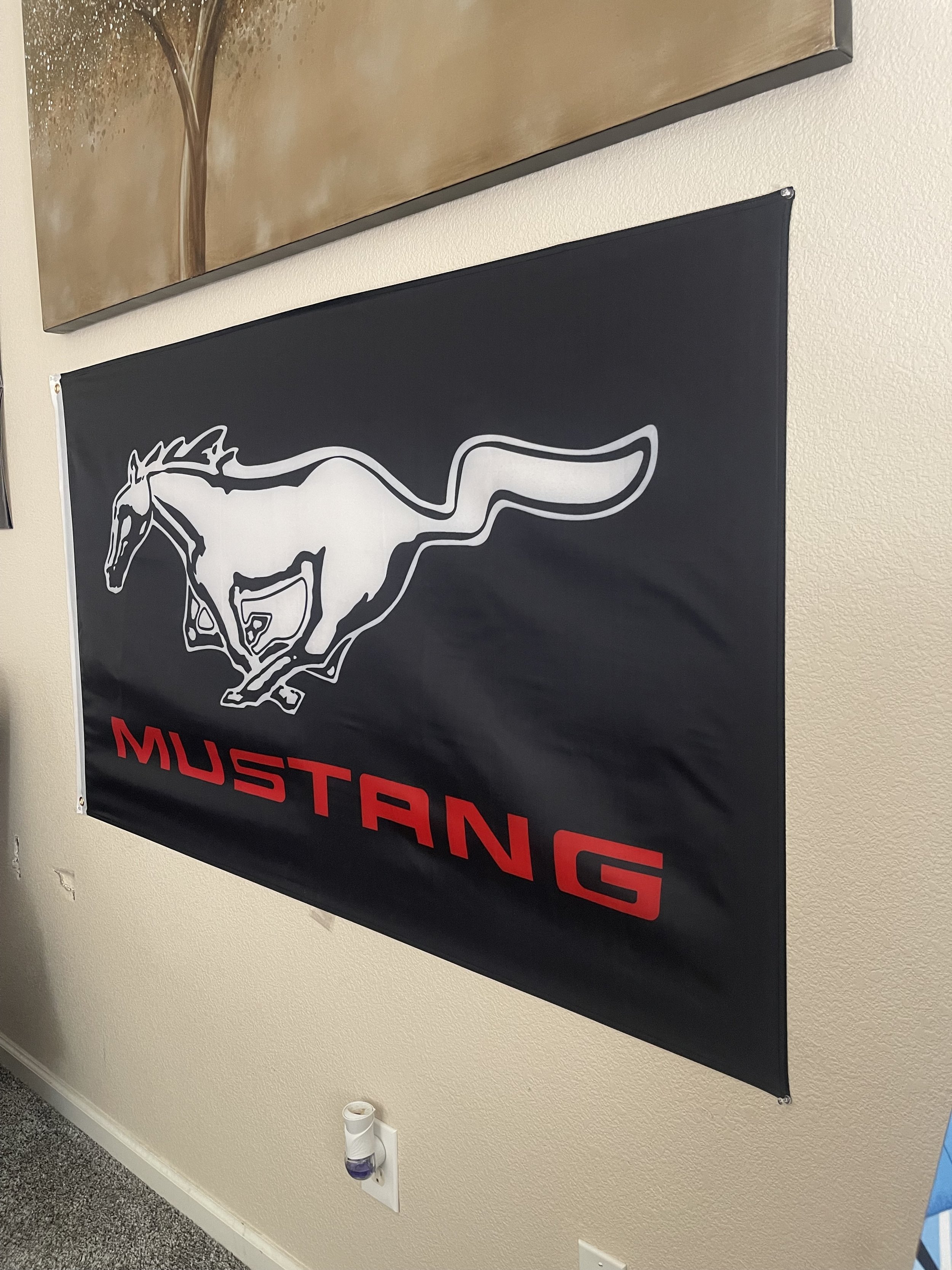 Mustang.jpg