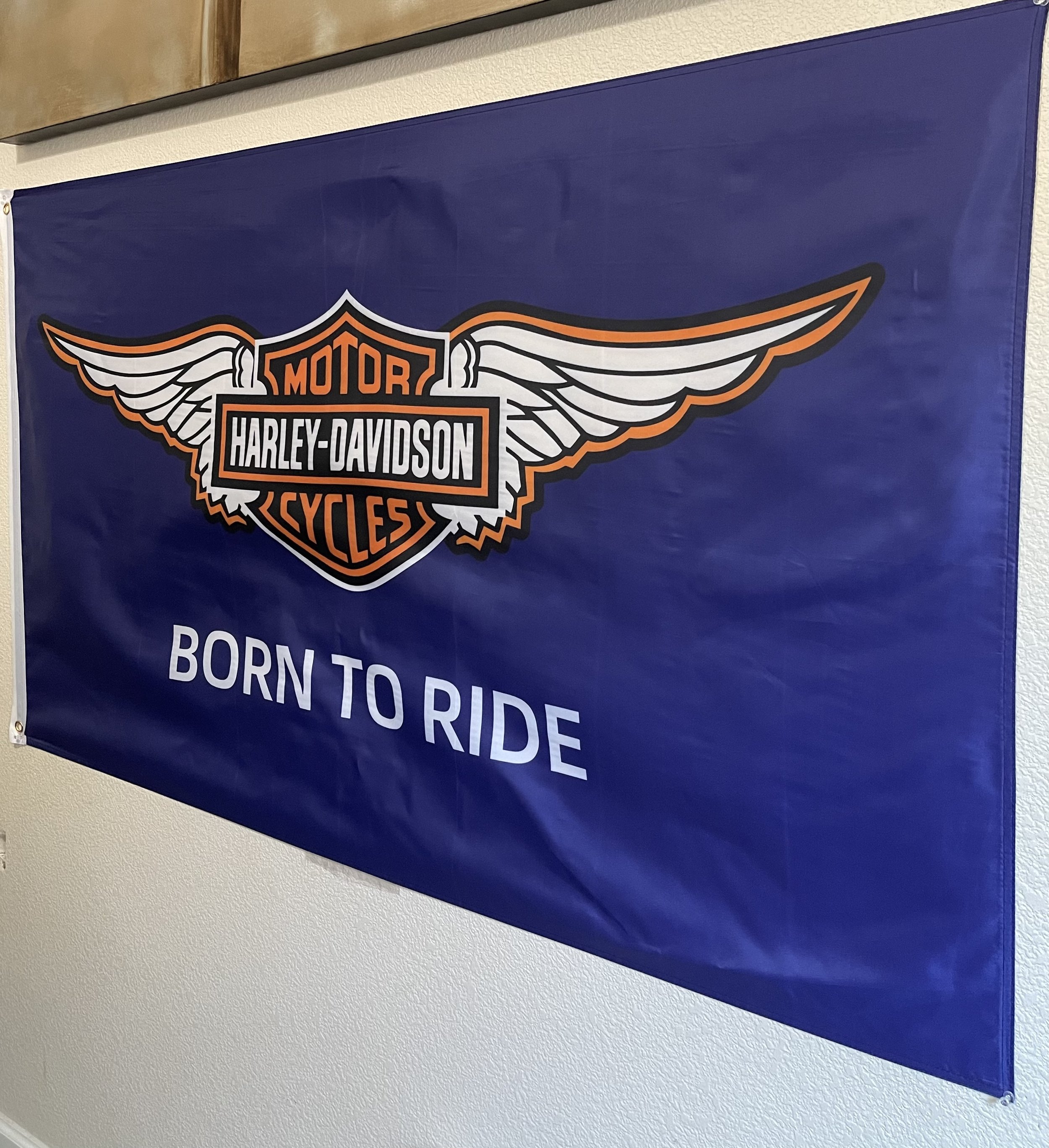 Born to ride 2.jpeg