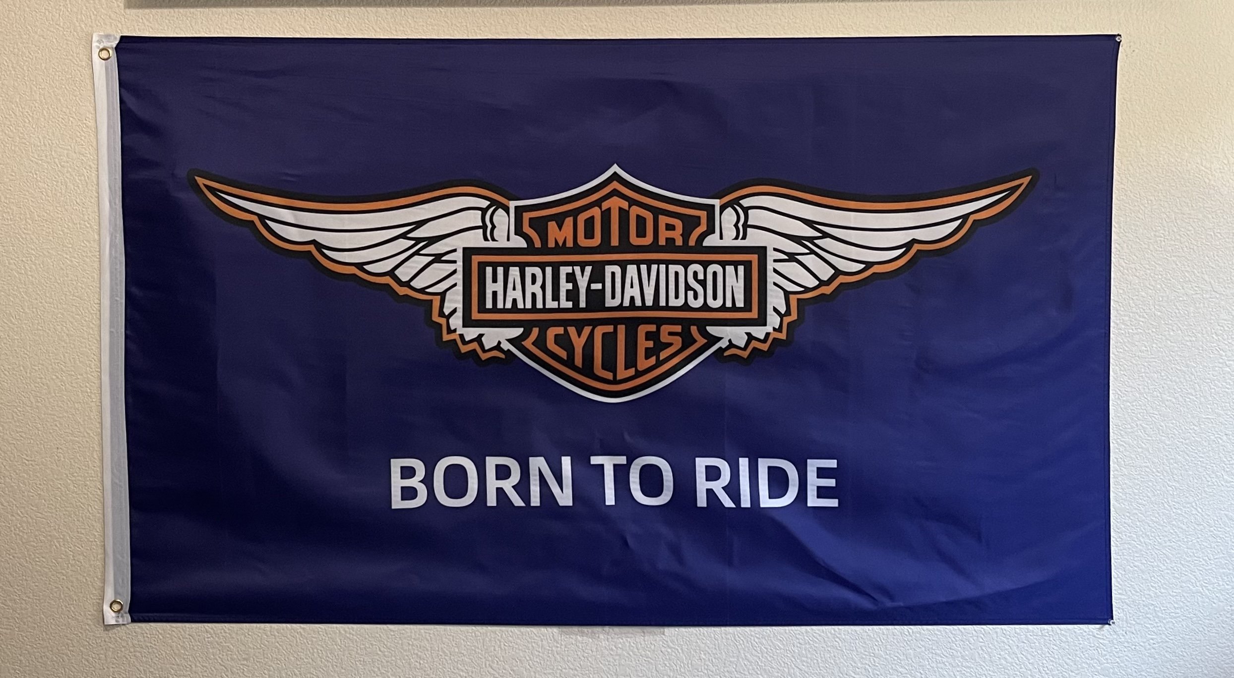 Born to ride.jpeg