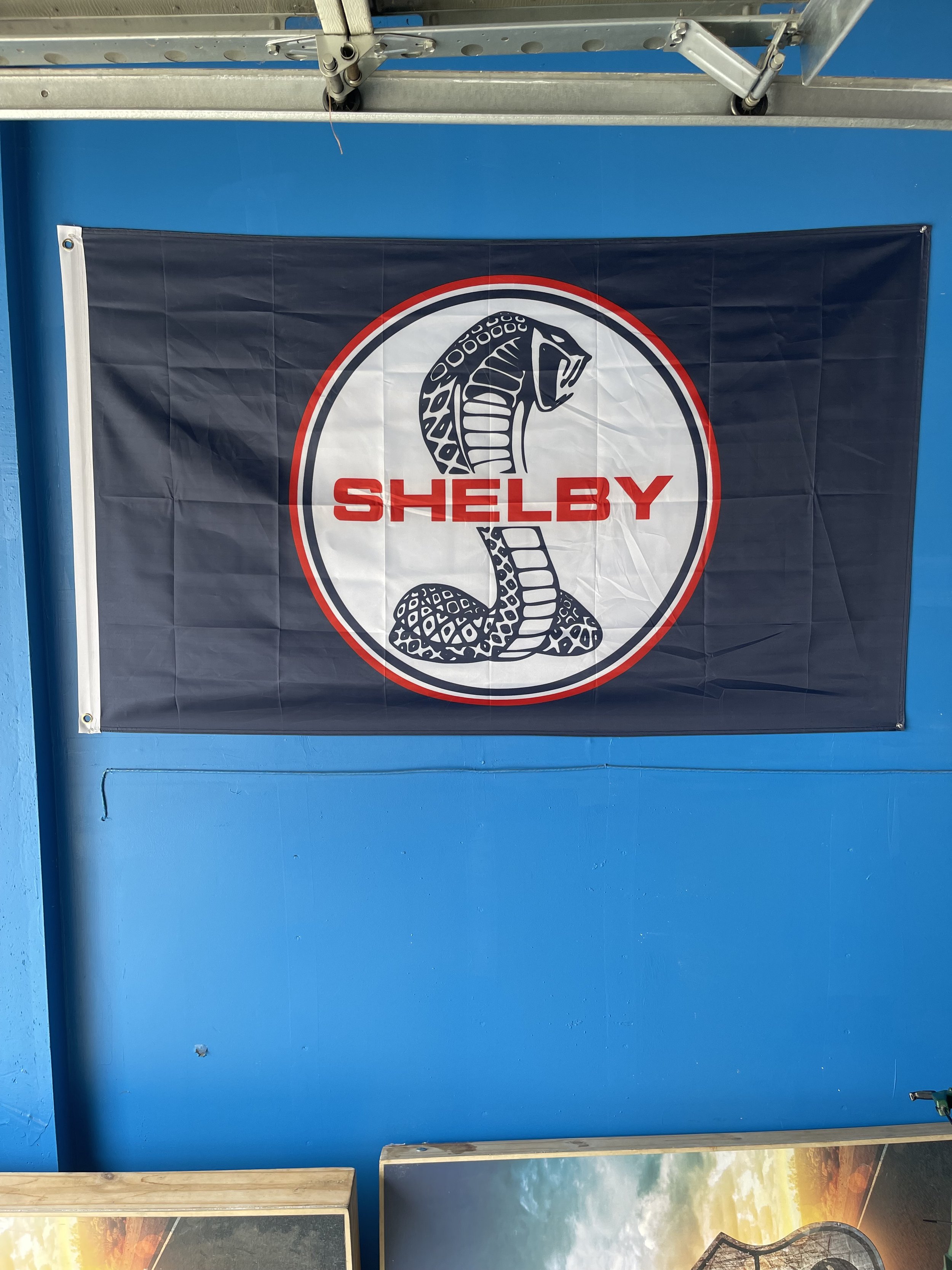 Blue Shelby.jpg