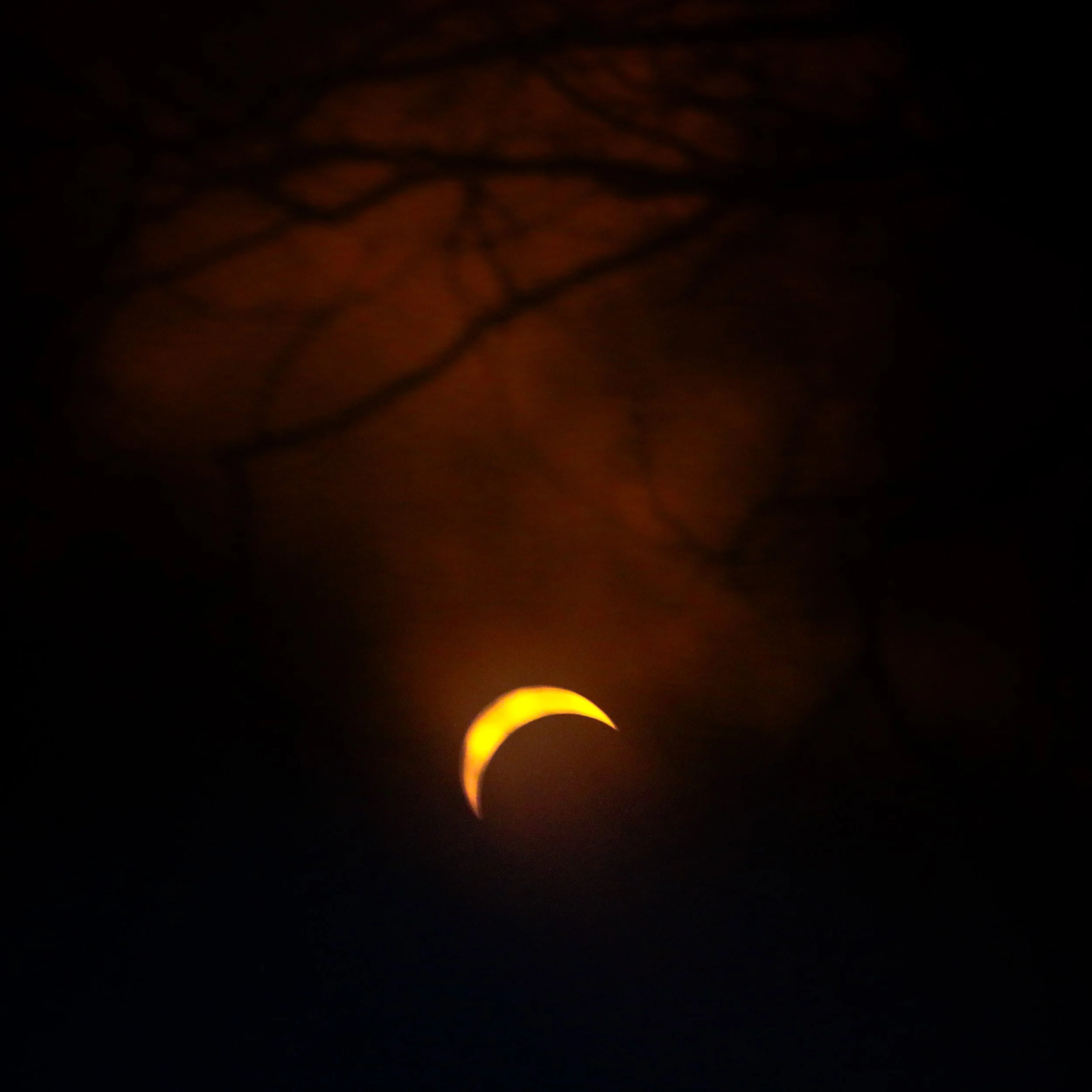 Eclipse_Photo_6.jpg