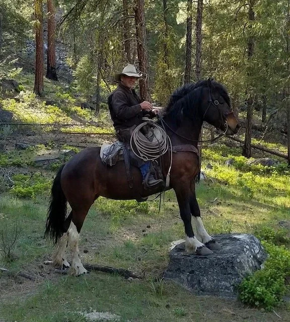 Square Pines Ranch Whistlin' Pine Ranch | Horseback Riding — Whistlin' Pine Ranch