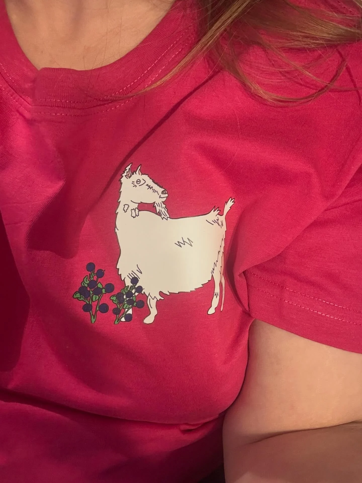 Yeeey!! S&Aring; snasen farge! S&Aring; flott geit!
S&Aring; fine bl&aring;b&aelig;r!

[Nei disse finnes ikke med ku. Eller sau. Bare med the one and only bl&aring;b&aelig;rgeit]
Vil du kj&oslash;pe? Prisen er satt til 449,- 
Vi har ogs&aring; noen i