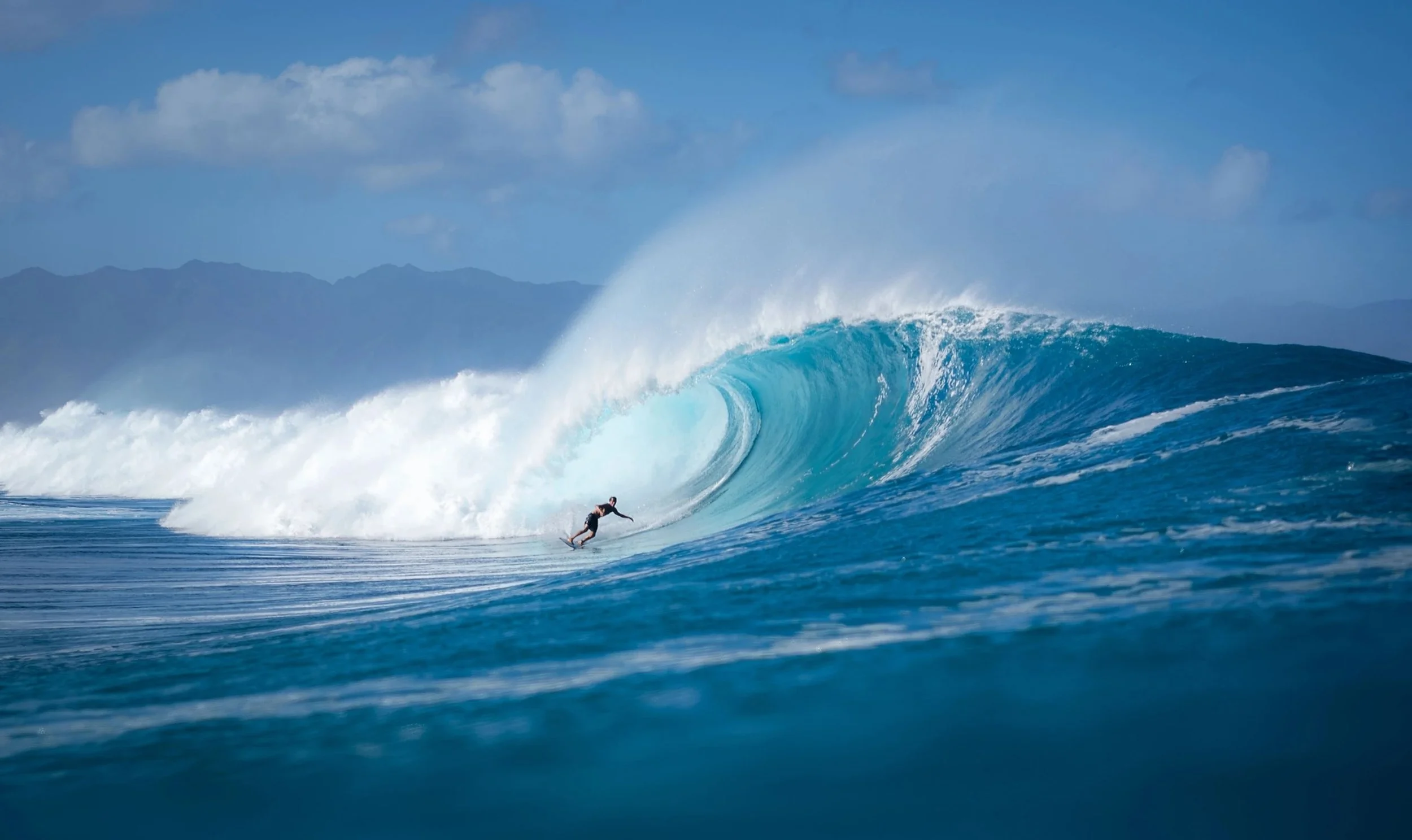 The Perfect Wave.jpg