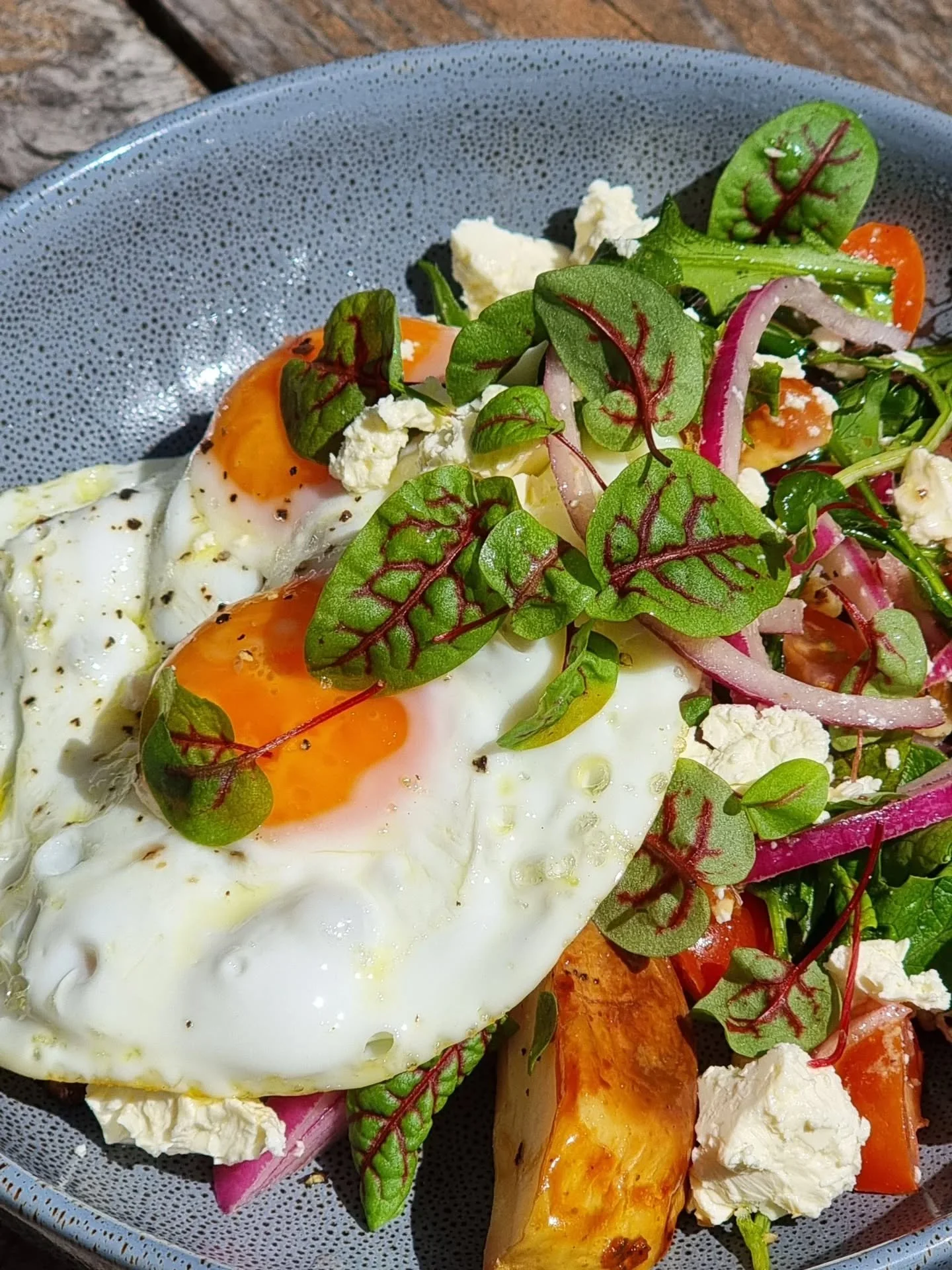 Better brunch with Blood Vein Sorrel 🌱