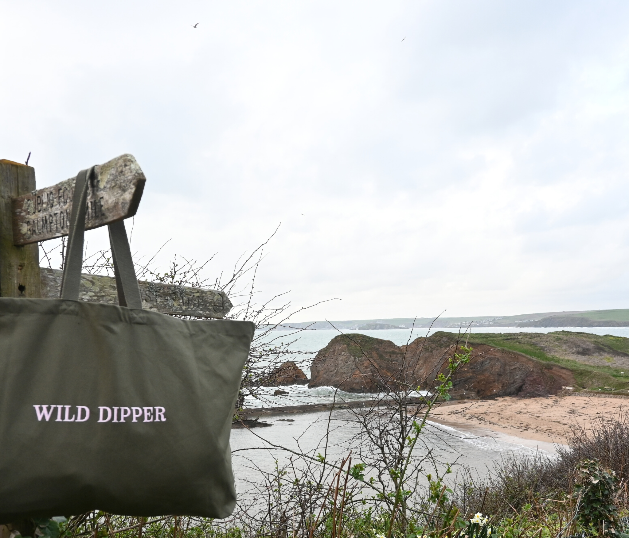 Wild Dipper Khaki.png (Copy)