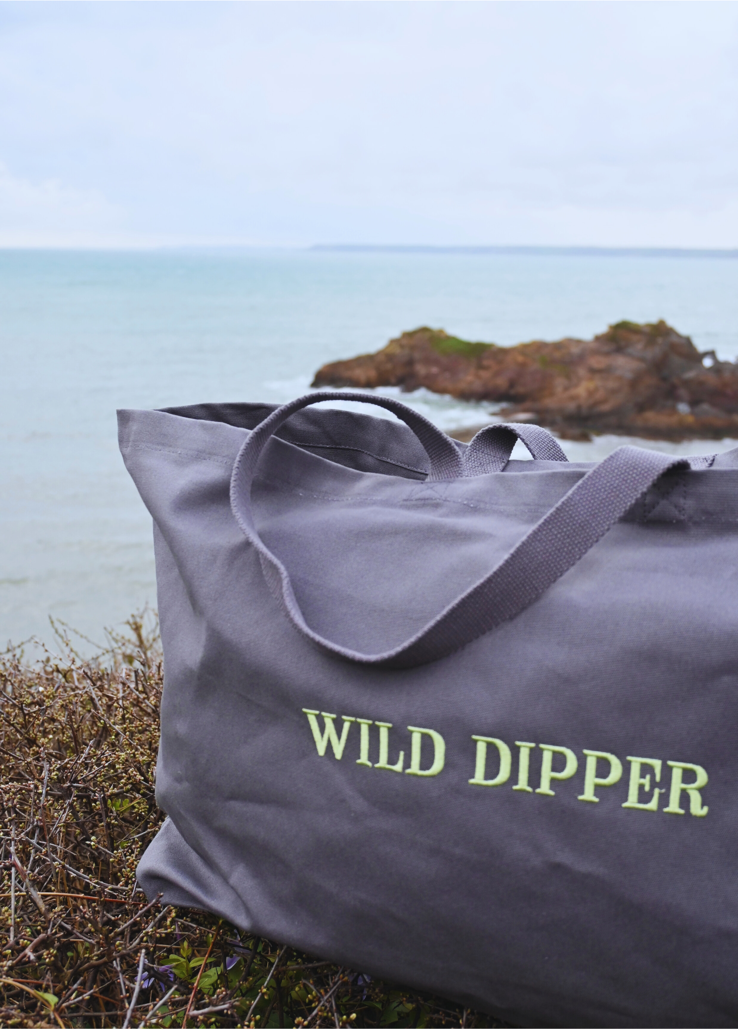 Wild Dipper Grey Green.png (Copy)
