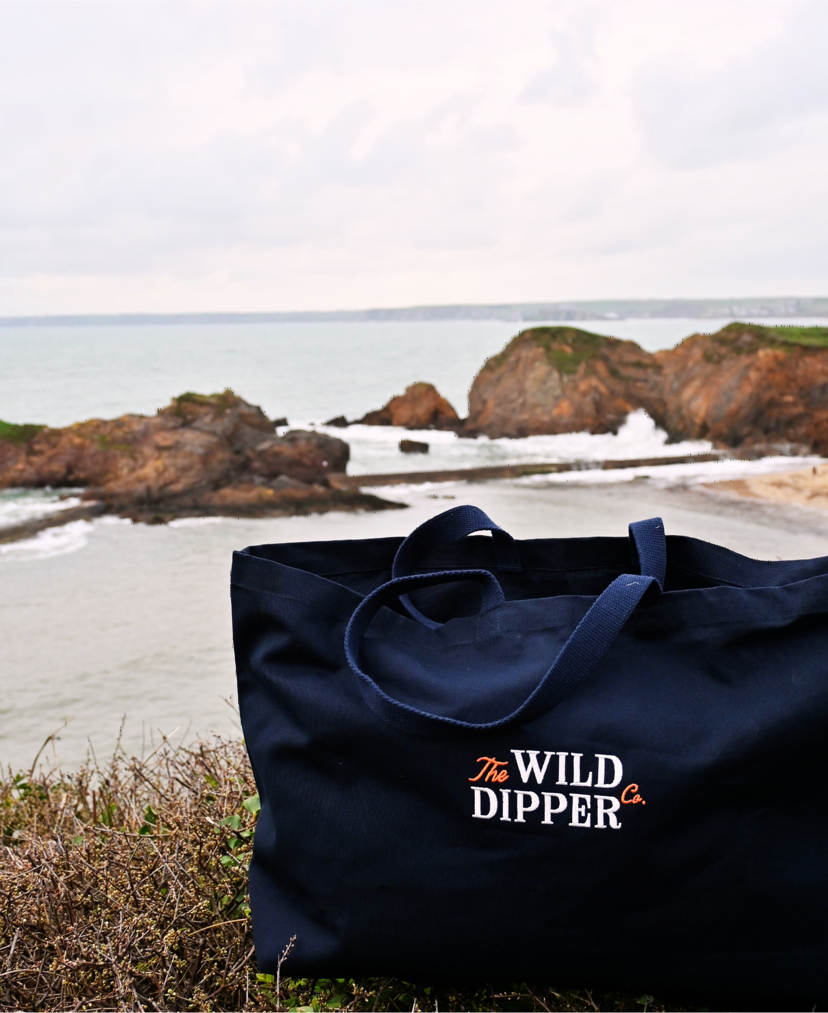 The Wild Dipper Co.png (Copy)