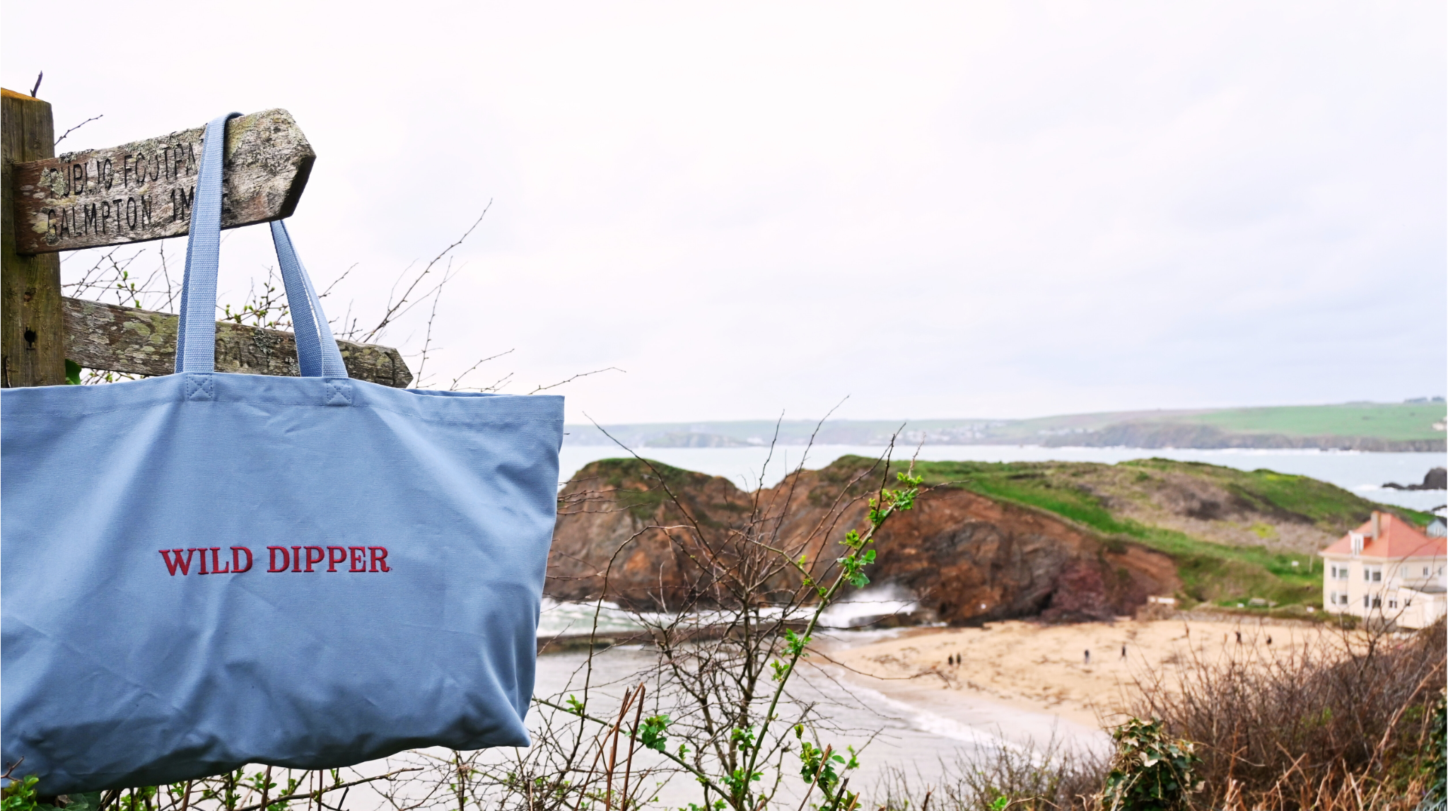 Wild Dipper Blue.png (Copy)