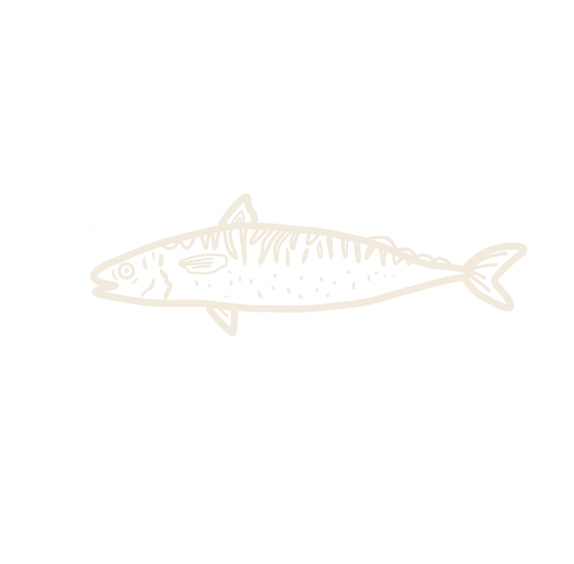 Outline drawing of a fish on a black background