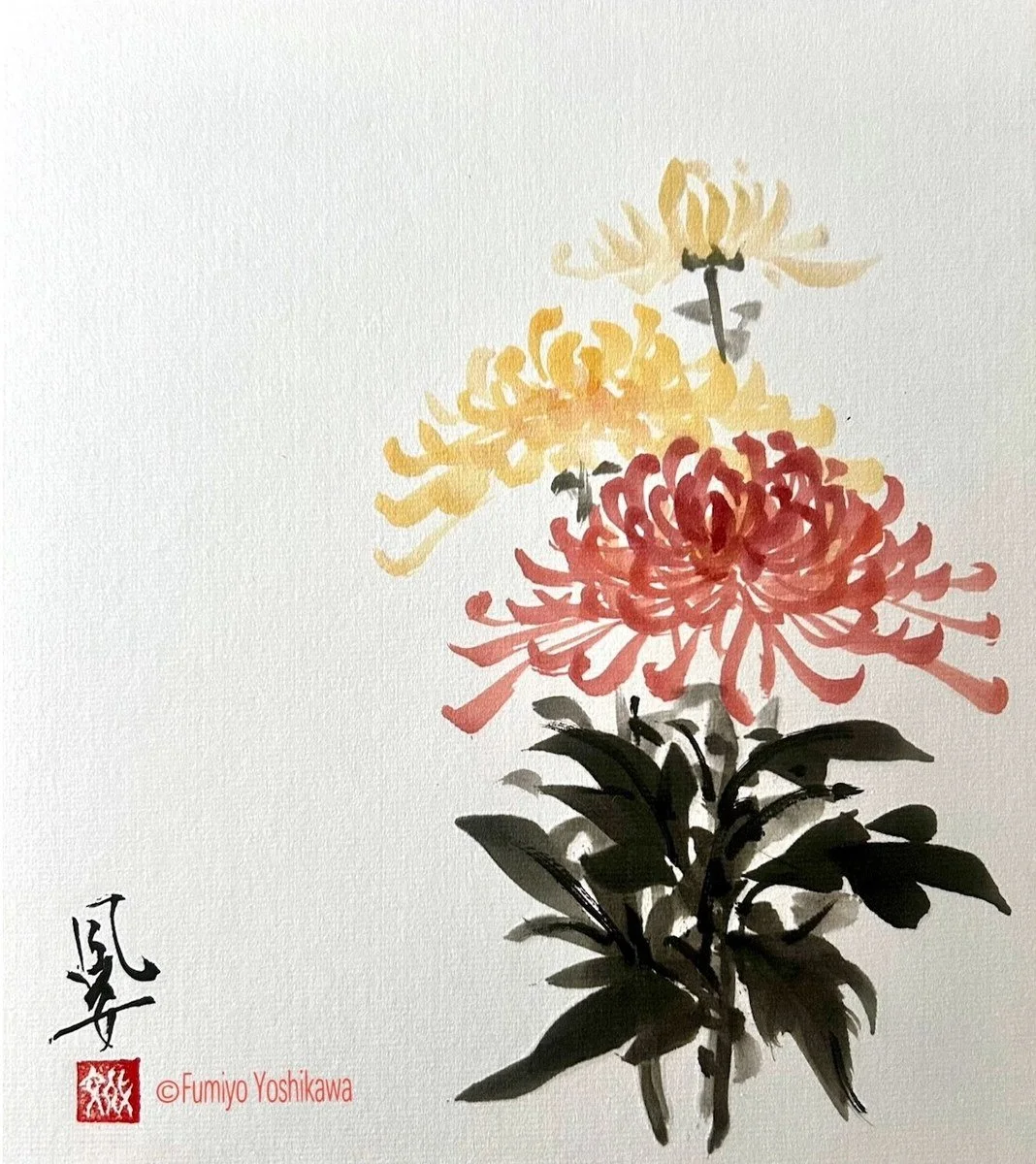25040009FY_chrysanthemum_2025.jpg