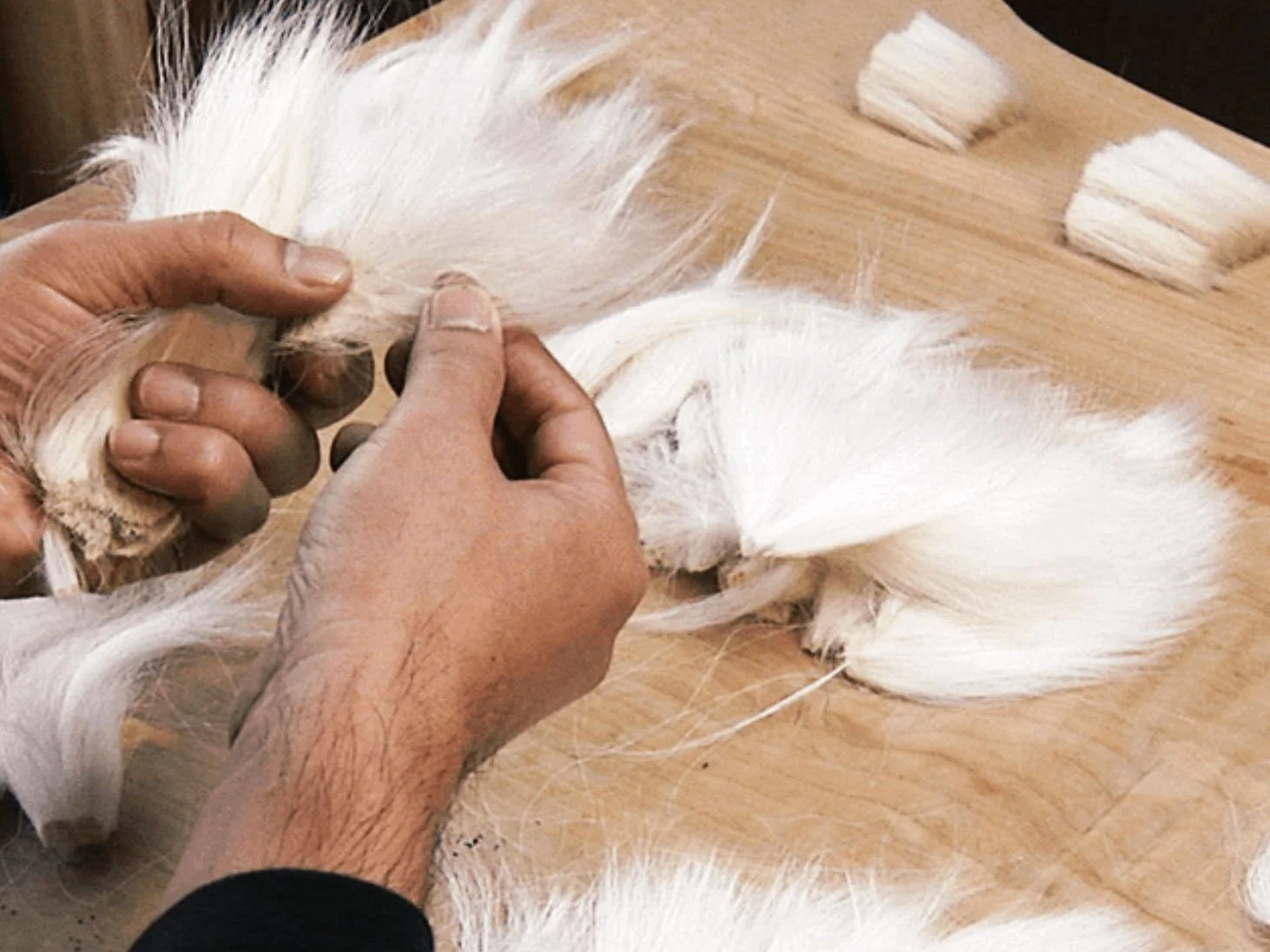hand with brush hairs.jpg