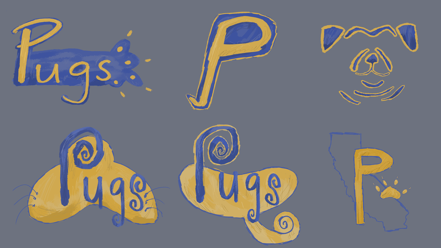 PHS+_Logo.png.webp