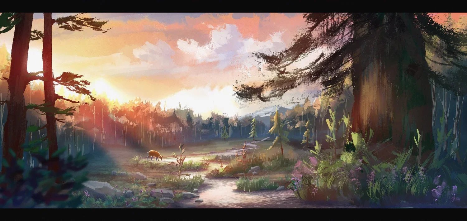 Forest.jpg.webp